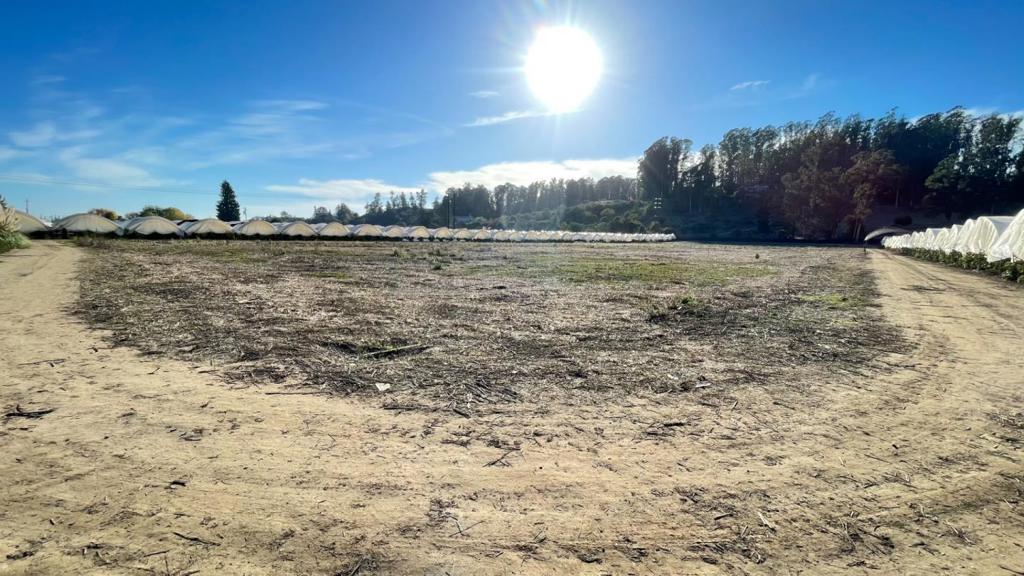 Watsonville, California, 95076, United States, 4 Bedrooms Bedrooms, ,3 BathroomsBathrooms,Residential,For Sale,1982776