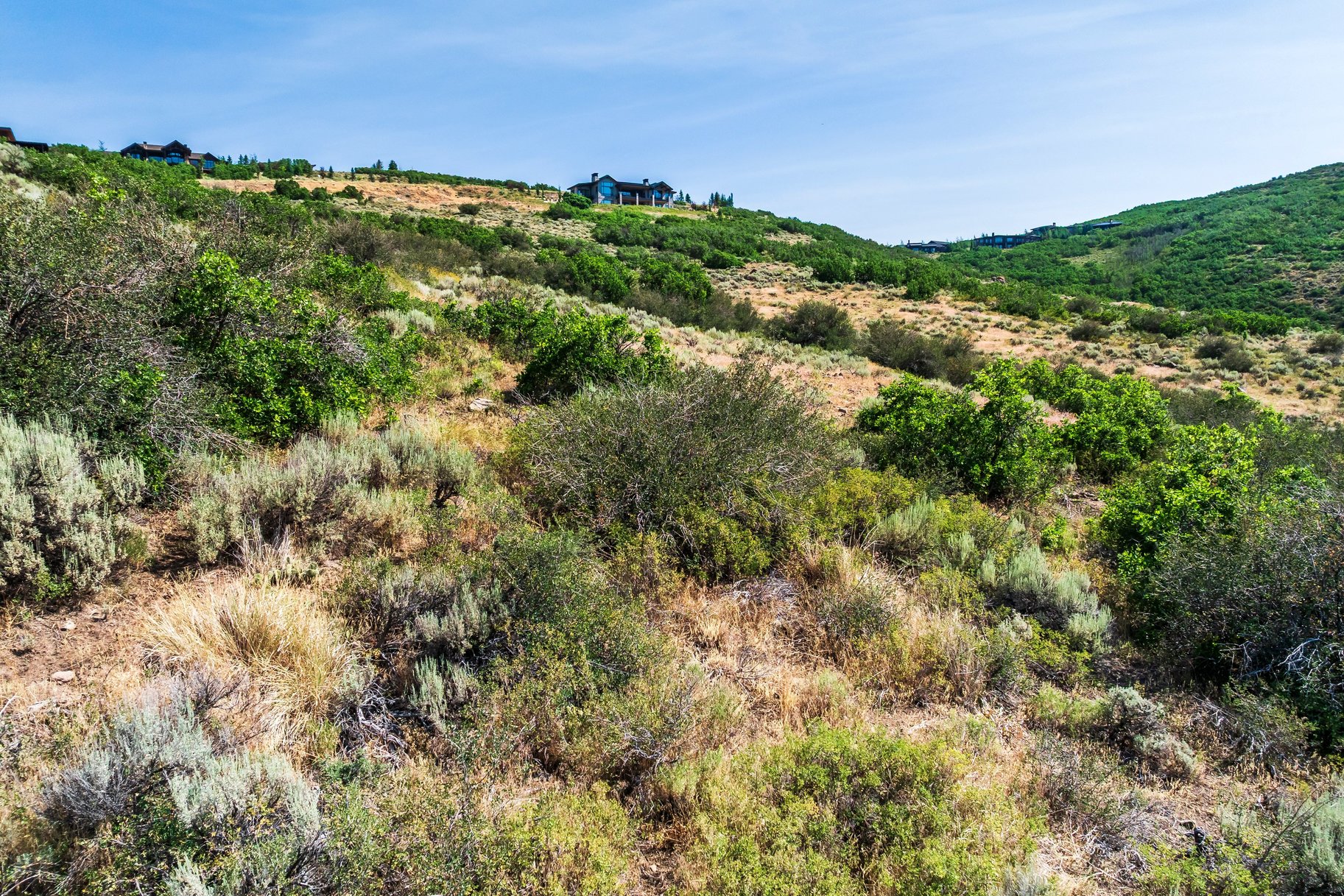  Deer Vista Homesite with Habitations Building Plans and Jaw-Dropping Views - 物件實景