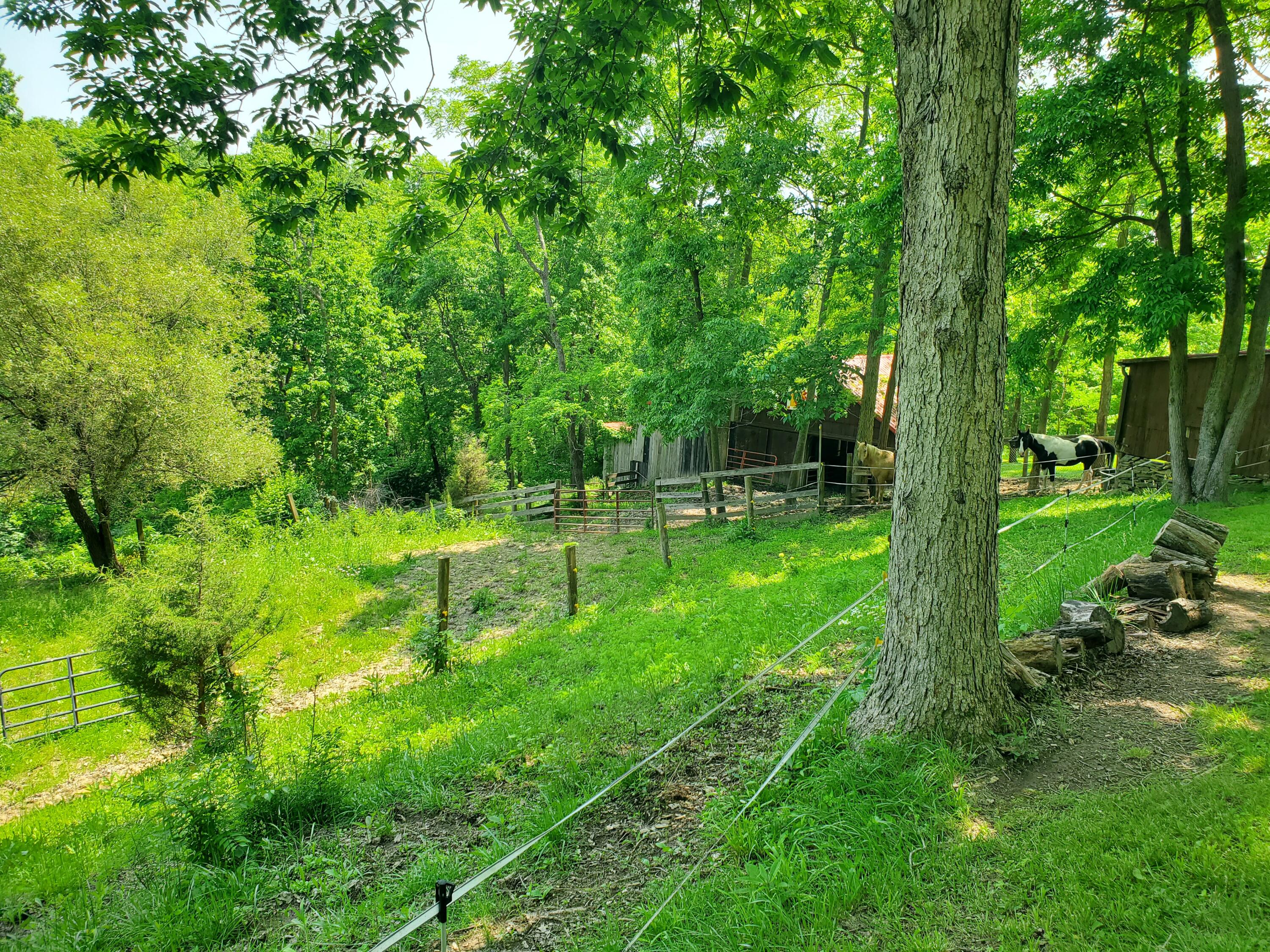 Sadieville, Kentucky, 40370, United States, 4 Bedrooms Bedrooms, ,3 BathroomsBathrooms,Residential,For Sale,1839886