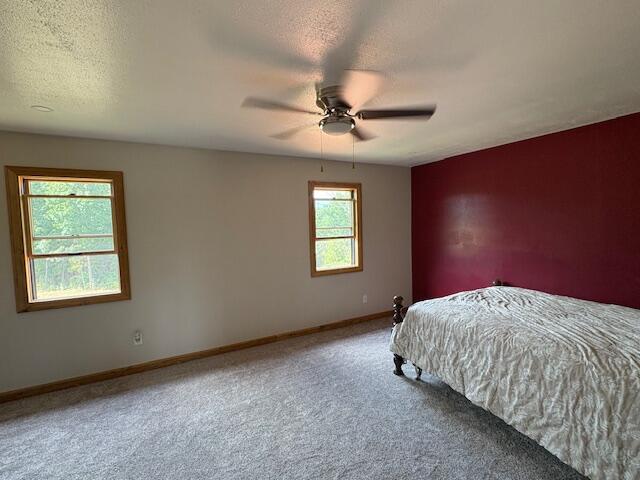 Galena, Missouri, 65656, United States, 4 Bedrooms Bedrooms, ,3 BathroomsBathrooms,Residential,For Sale,1921688