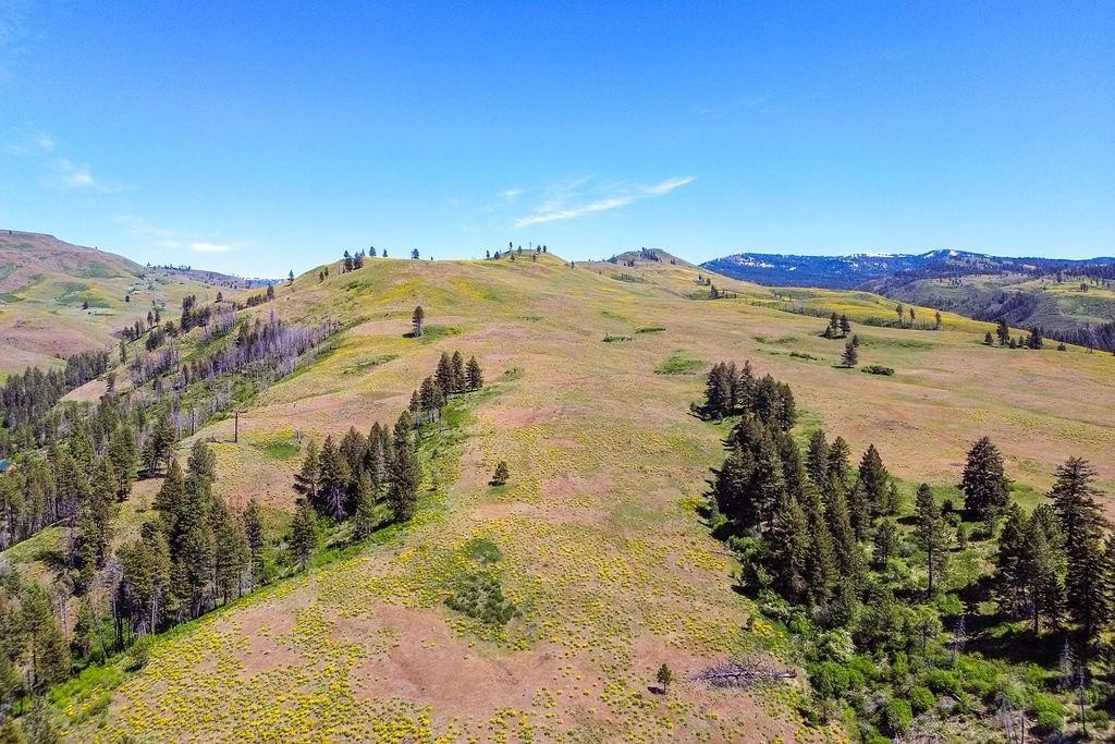 Council, Idaho, 83612, United States, ,Residential,For Sale,1980255