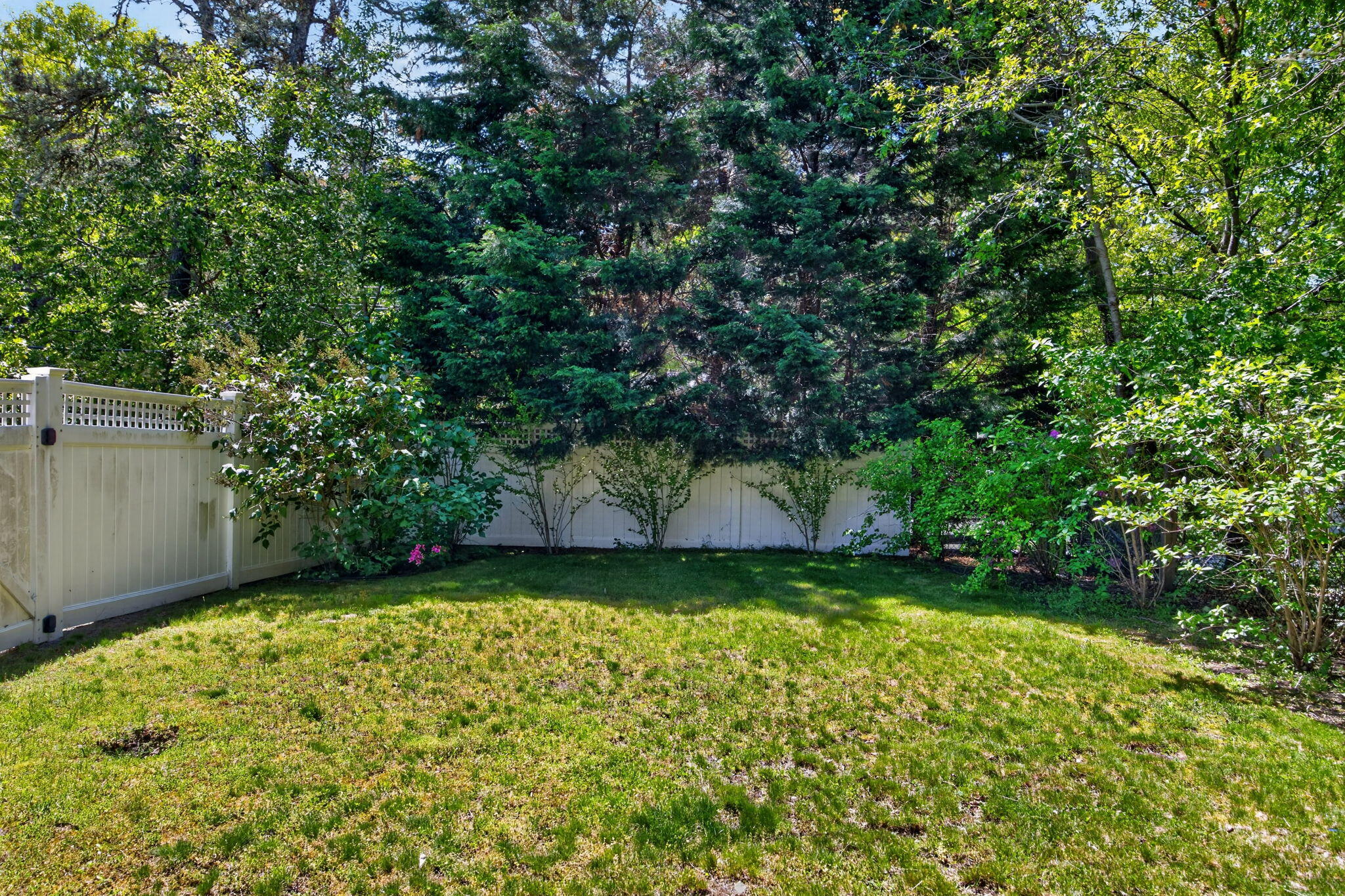  4 Forsythia Drive, Harwich, MA, 02645 - 物件實景