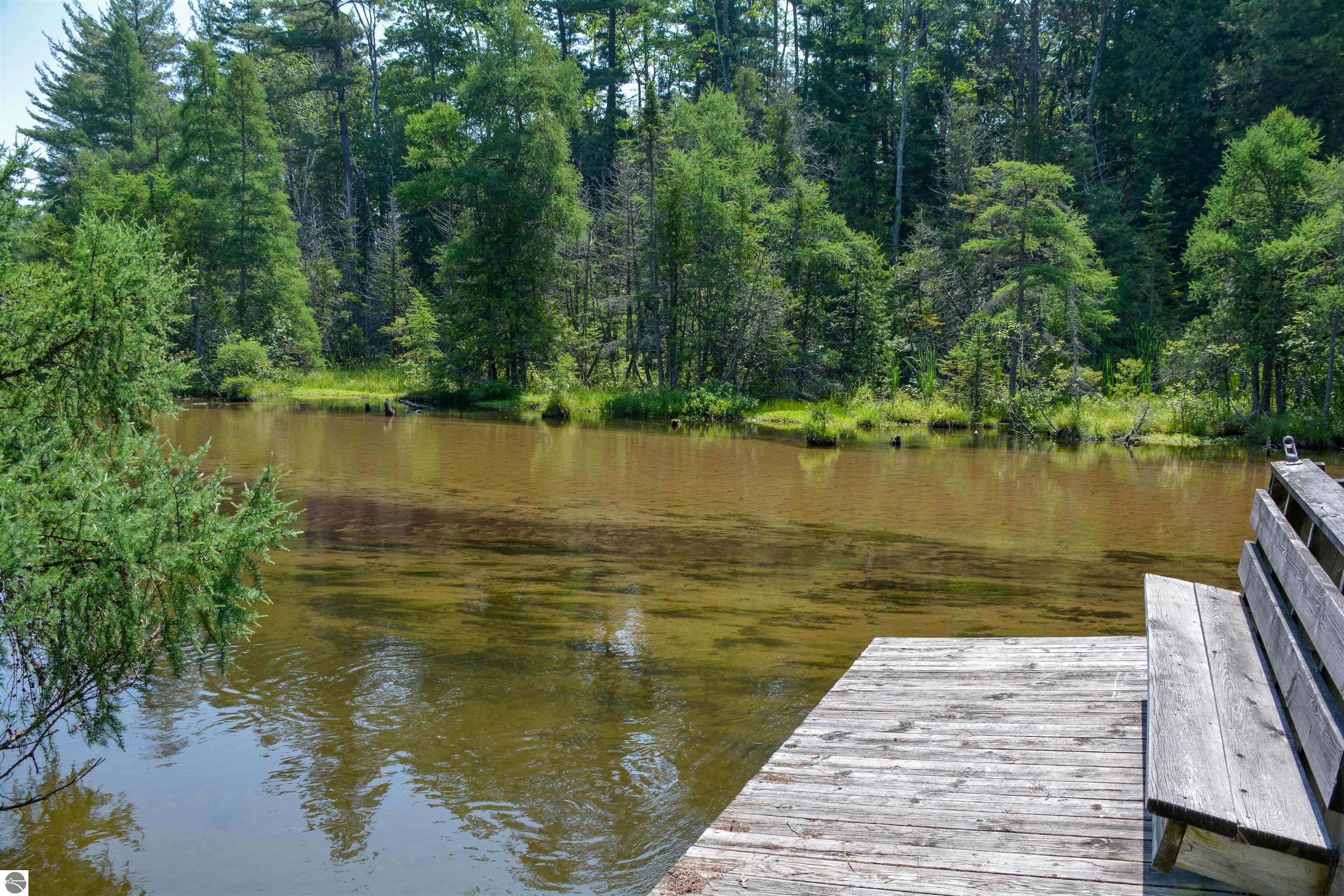 Rapid City, Michigan, 49676, United States, 1 Bedroom Bedrooms, ,Residential,For Sale,1960955