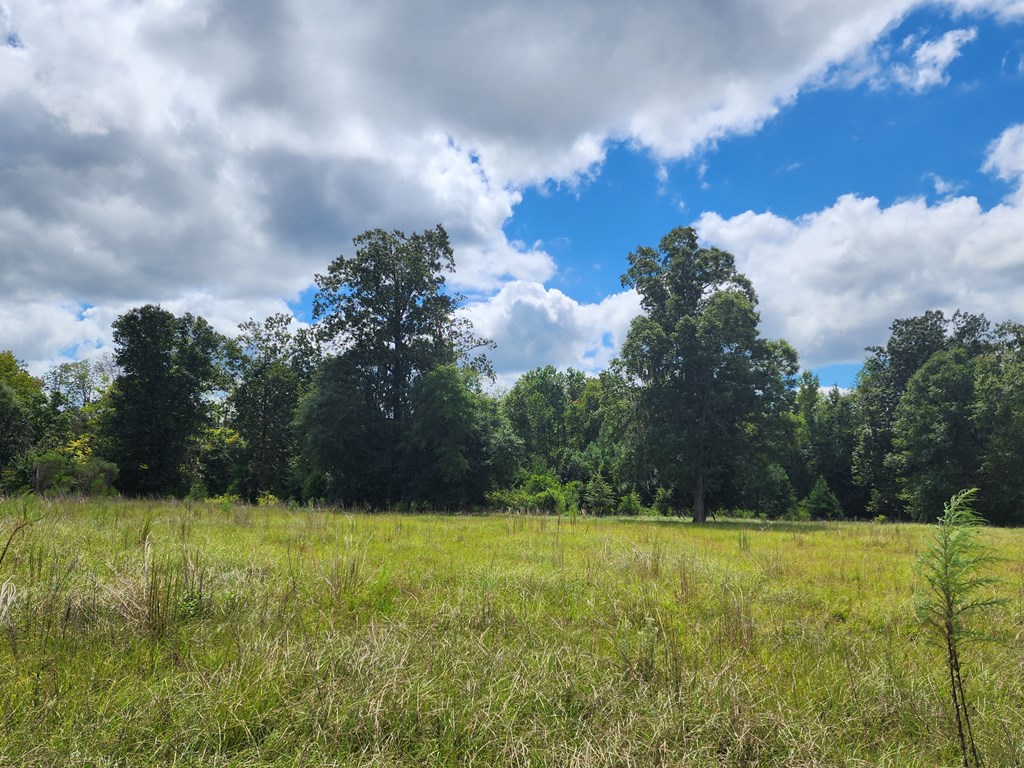 Pansey, Alabama, 36370, United States, 3 Bedrooms Bedrooms, ,3 BathroomsBathrooms,Residential,For Sale,1943922