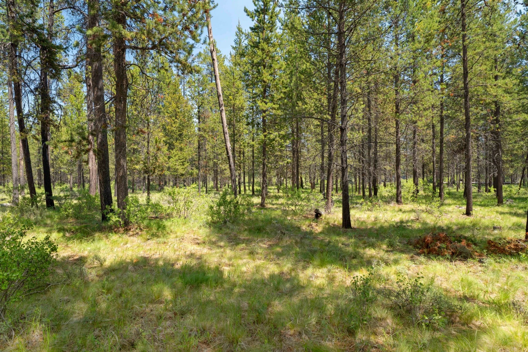  55855 Hashknife Road #18 Bend, OR 97707 - 物件實景