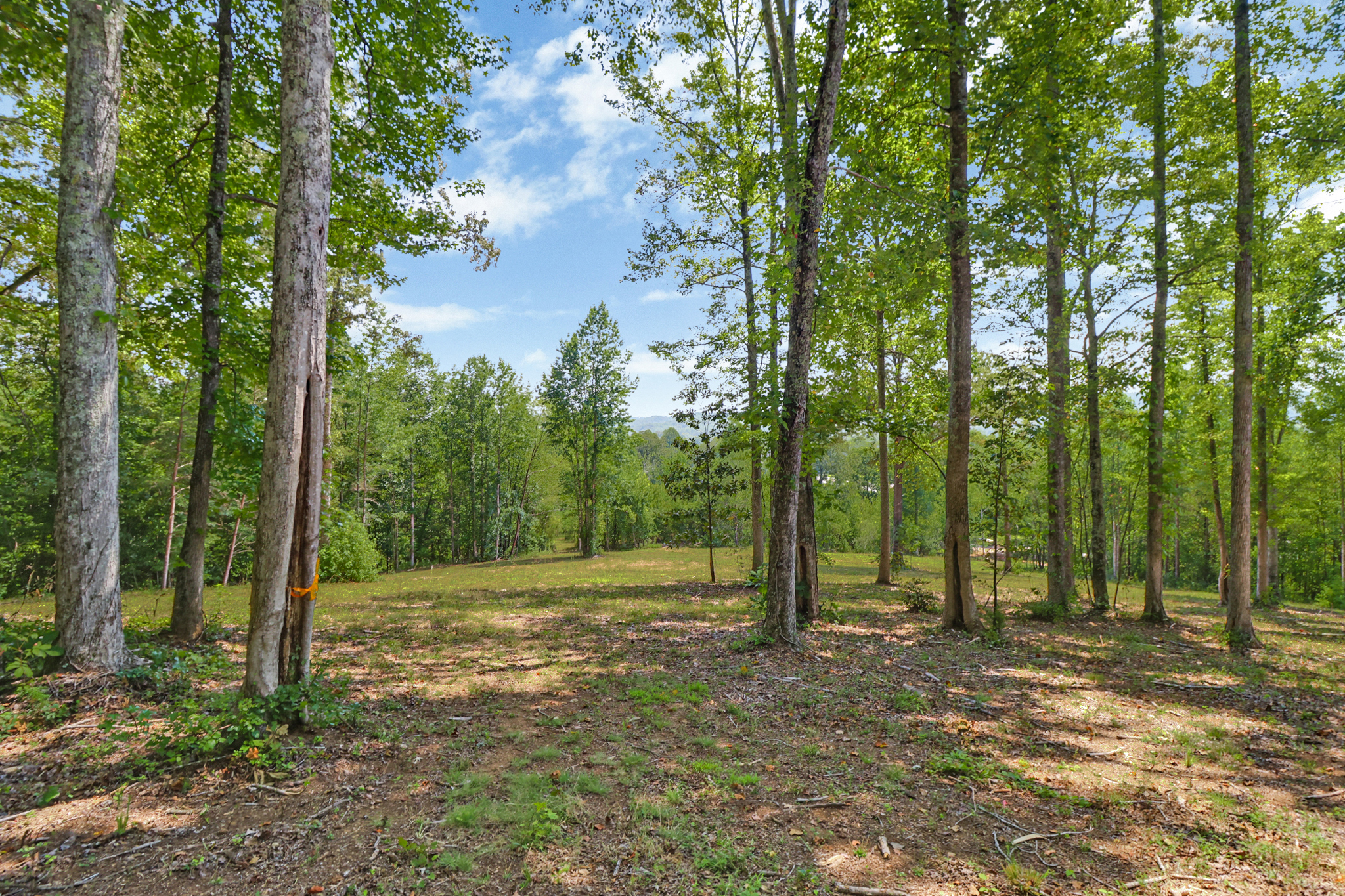 Rockwood, Tennessee, 37854, United States, 4 Bedrooms Bedrooms, ,3 BathroomsBathrooms,Residential,For Sale,2011403