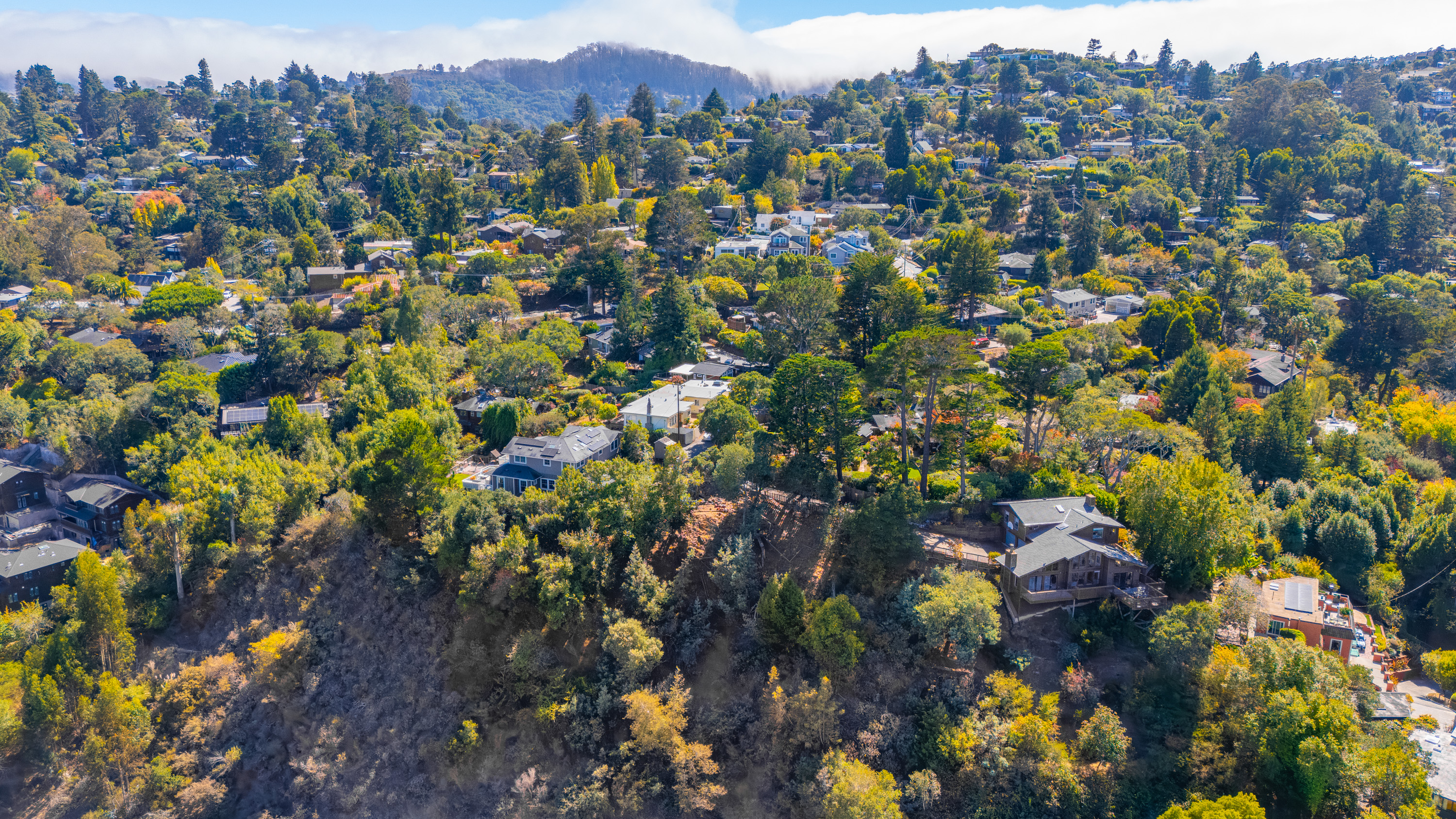  Exceptional Mill Valley Lot with Expired Approved Plans - 物件實景