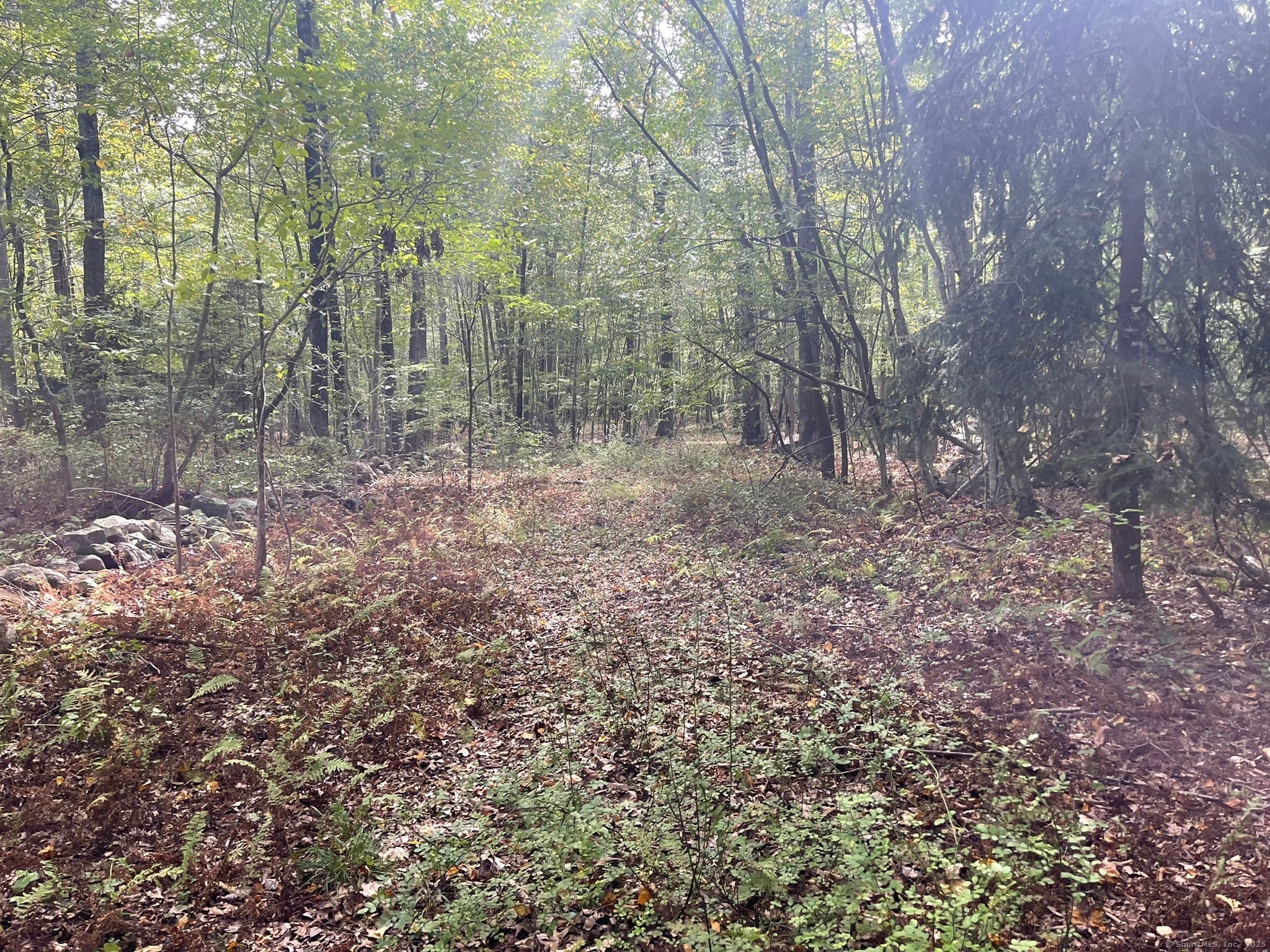 Old Lyme, Connecticut, 06371, United States, ,Land,For Sale,1979689