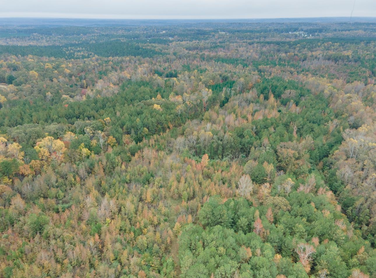 00 Highway 176 Bypass, Pacolet, South Carolina, 29372, United States, ,Land,For Sale,00 Highway 176 Bypass,1651812