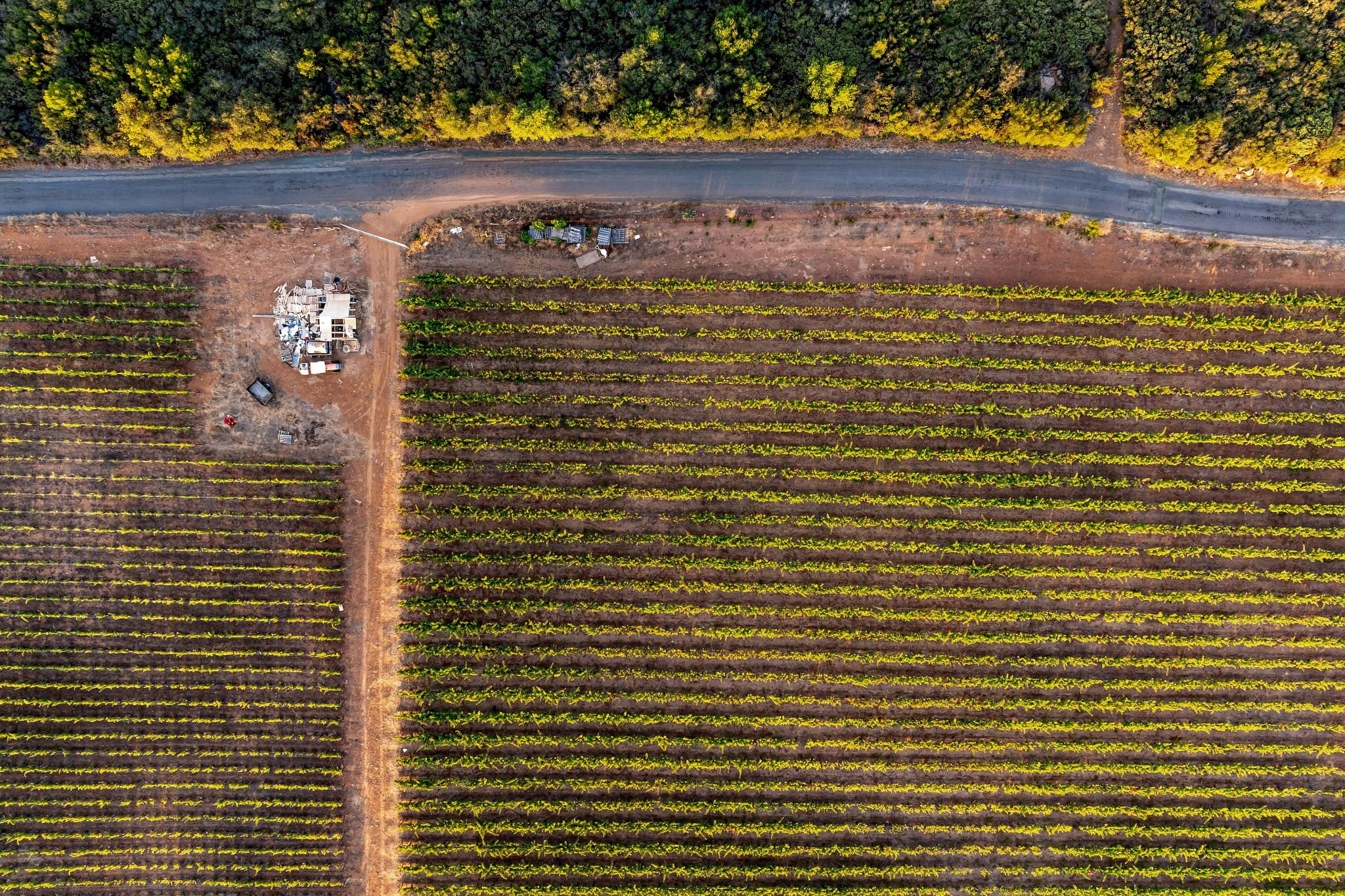  Premium Atlas Peak AVA Vineyard Opportunity - 物件實景