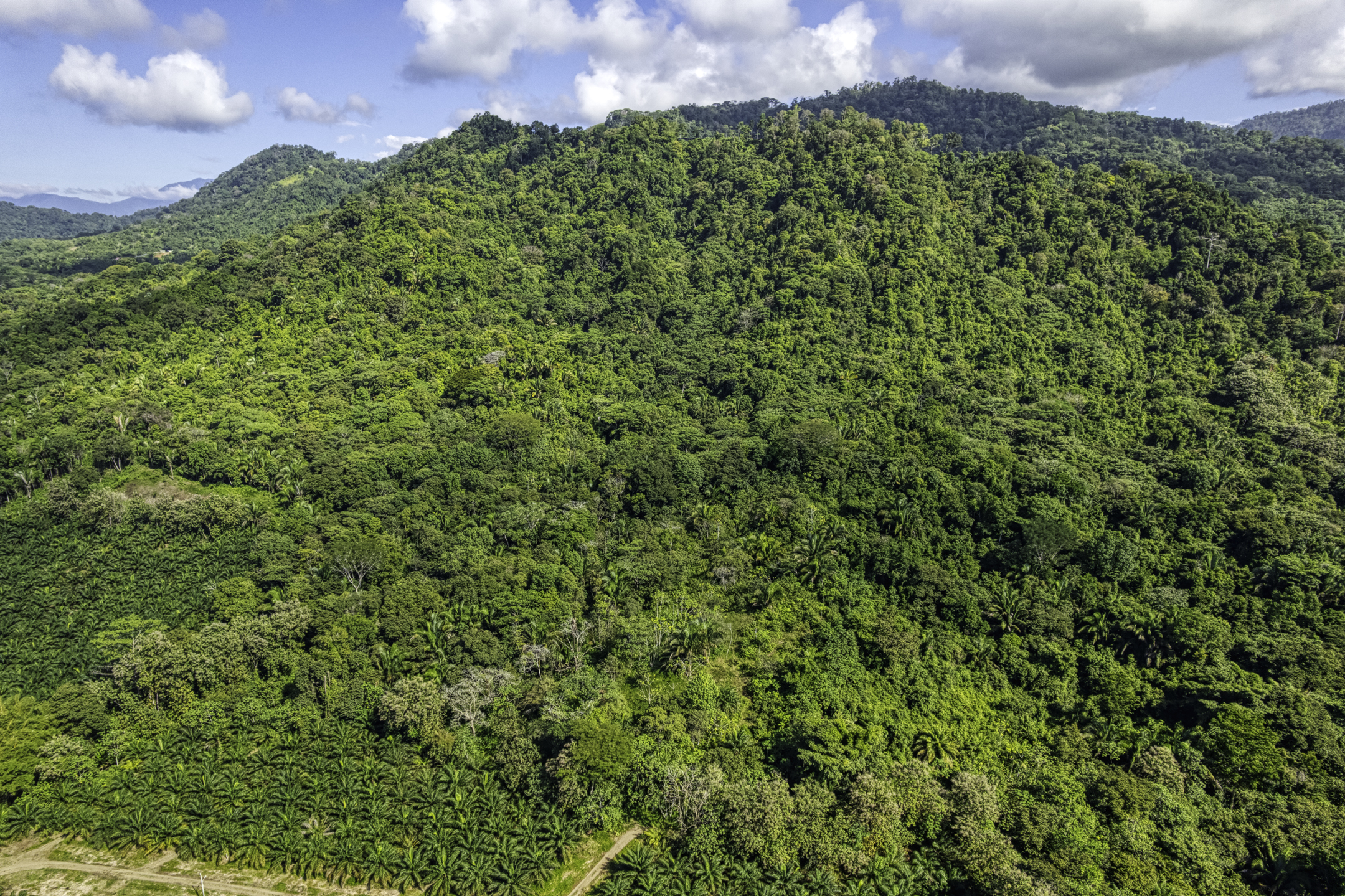 Portalon, Dominical, Puntarenas, CR, ,Land,For Sale,Portalon,1586164