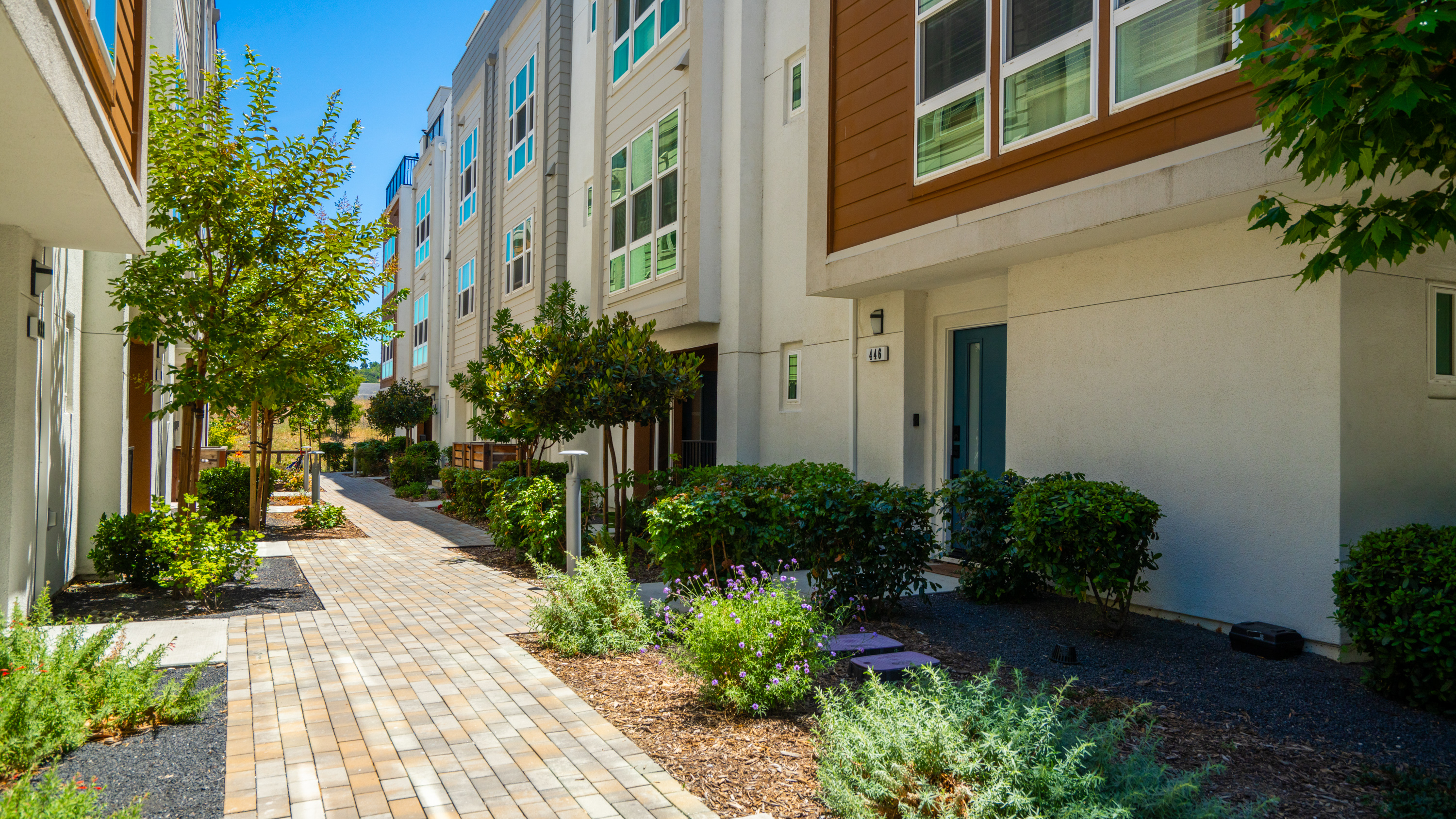  Modern Townhome in Novato - 物件實景