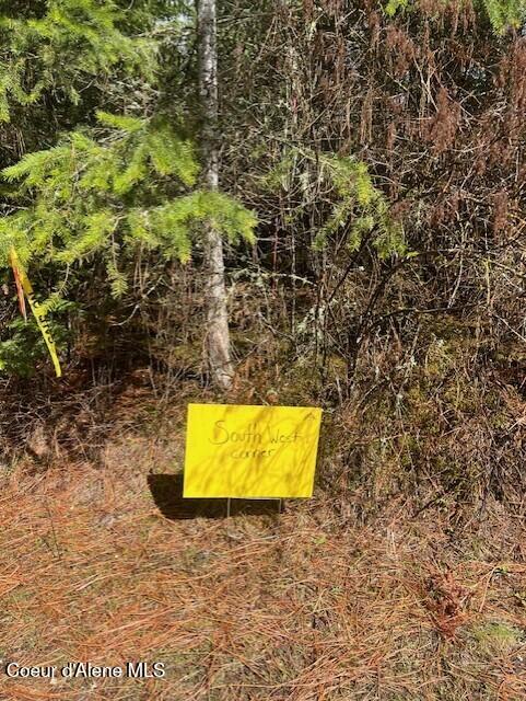 Hauser, Idaho, 83854, United States, ,Land,For Sale,1978090