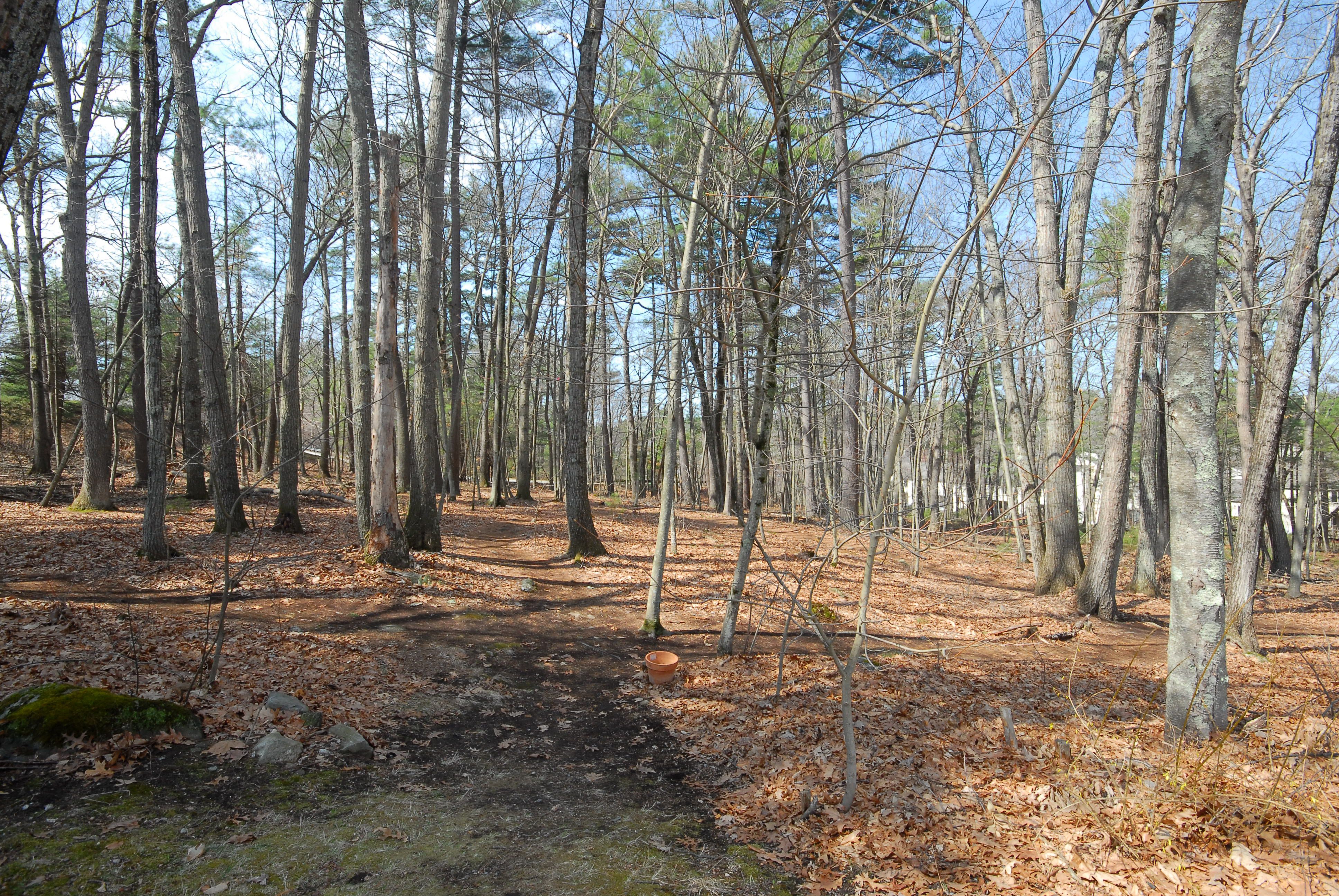  17 Wyndcliff Drive, Acton, MA 01720 - 物件實景