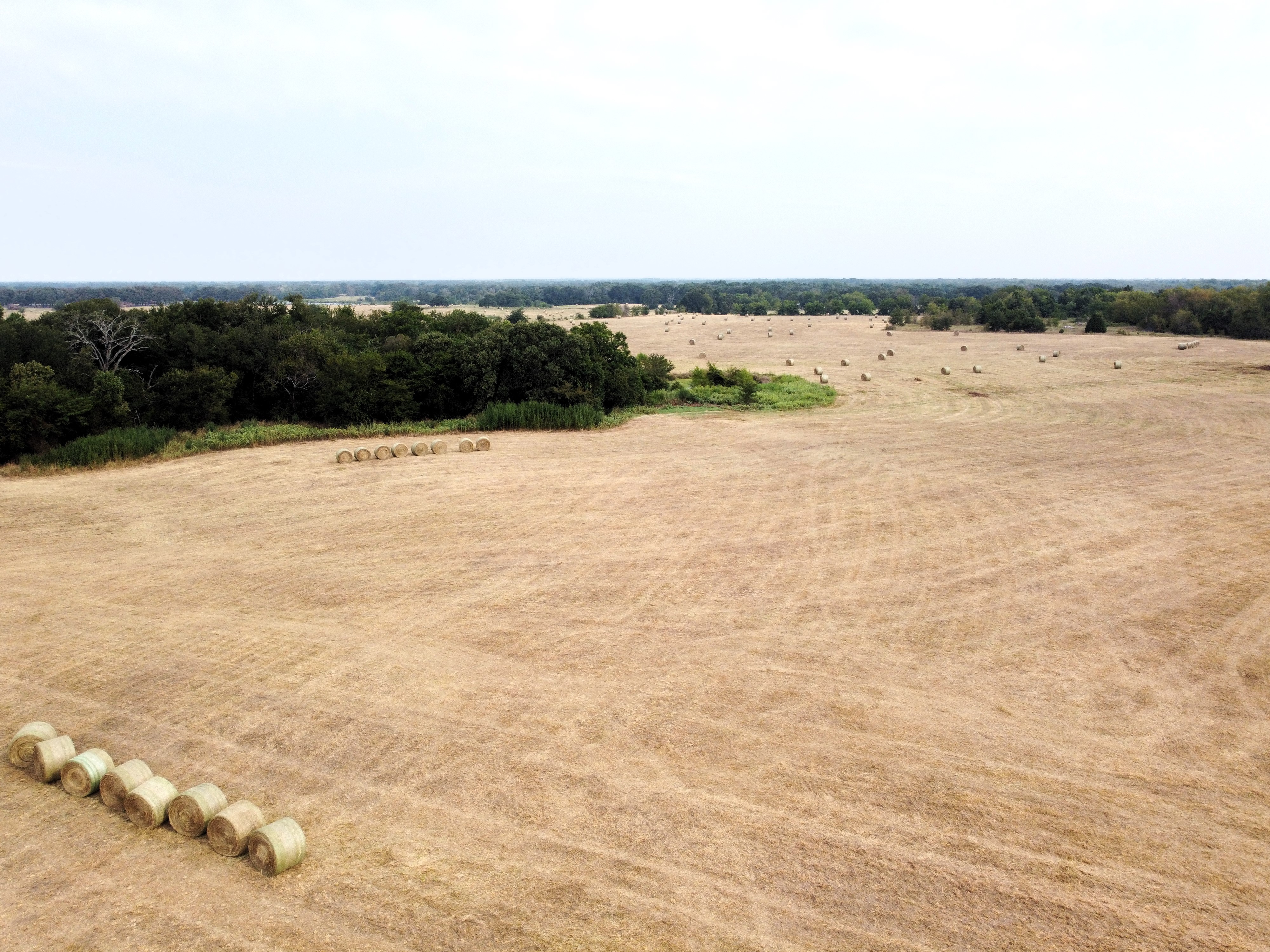 Cumby, Texas, 75433, United States, ,Land,For Sale,1987346