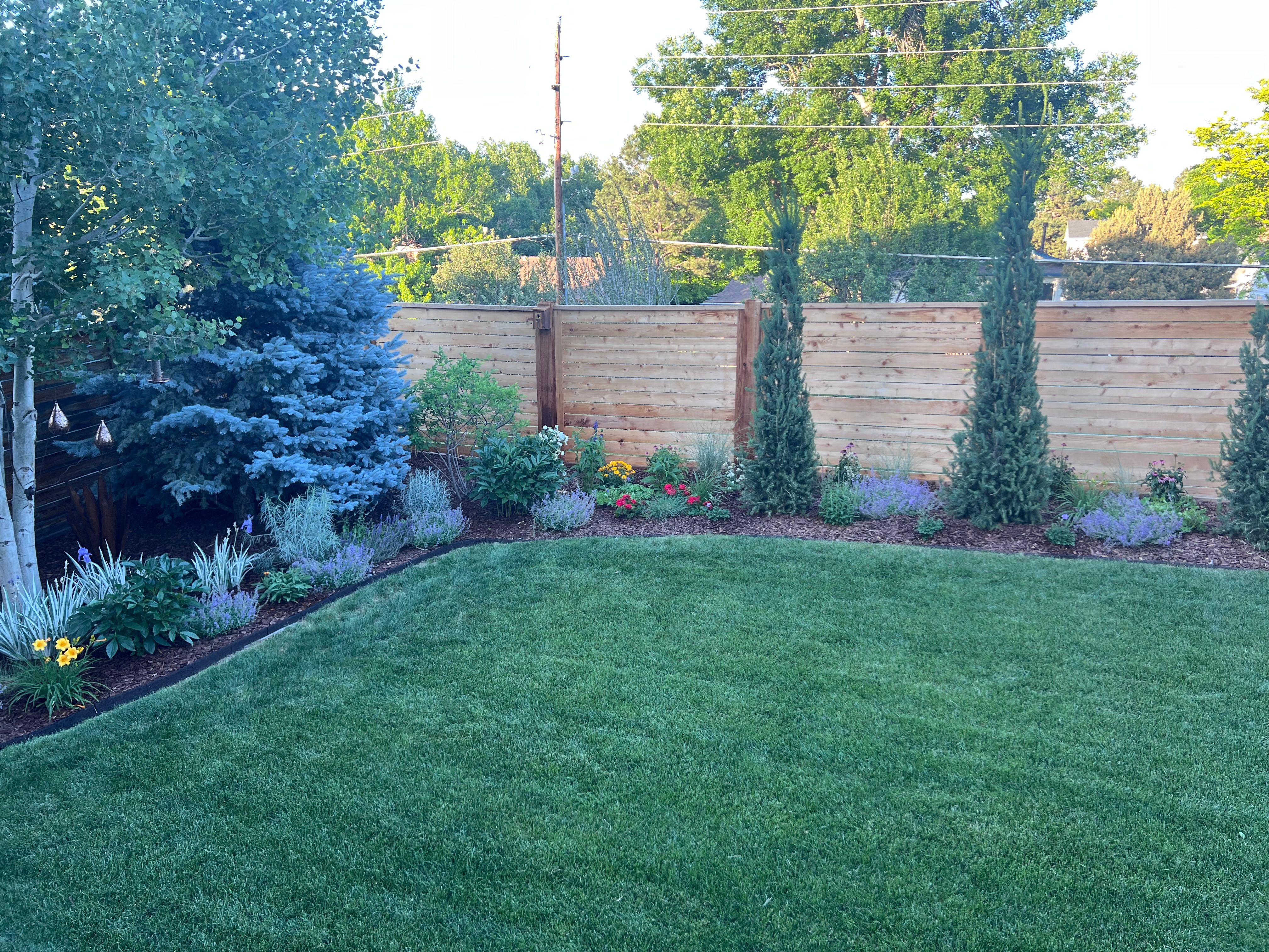  Thoughtfully  Updated and Move-In Ready - 物件實景