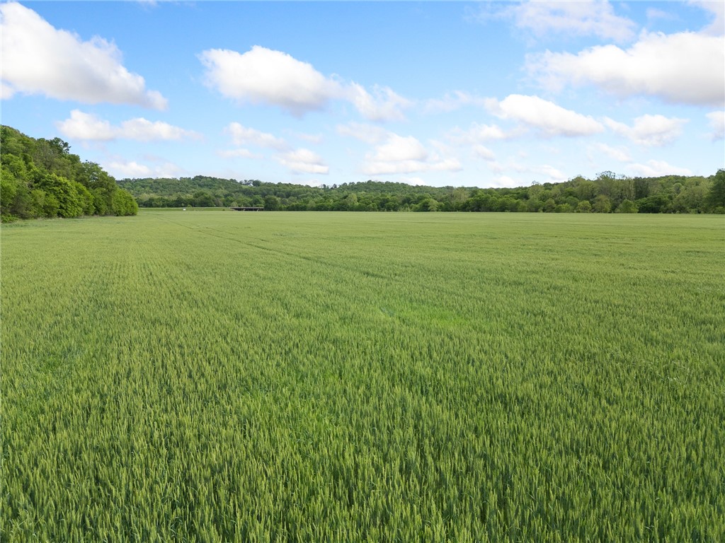 Alpena, Arkansas, 72611, United States, ,Land,For Sale,1903921