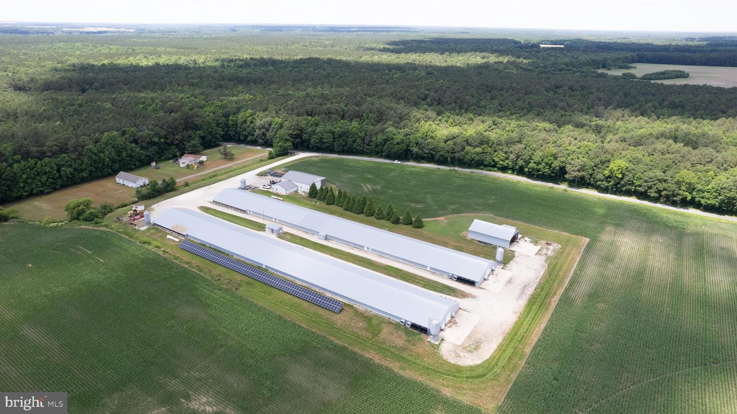 Hurlock, Maryland, 21643, United States, ,Residential,For Sale,1990296