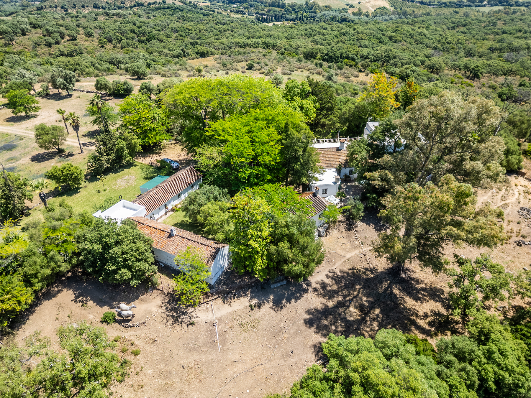  Exclusive Estate in Los Alcornocales Natural Park - 物件實景