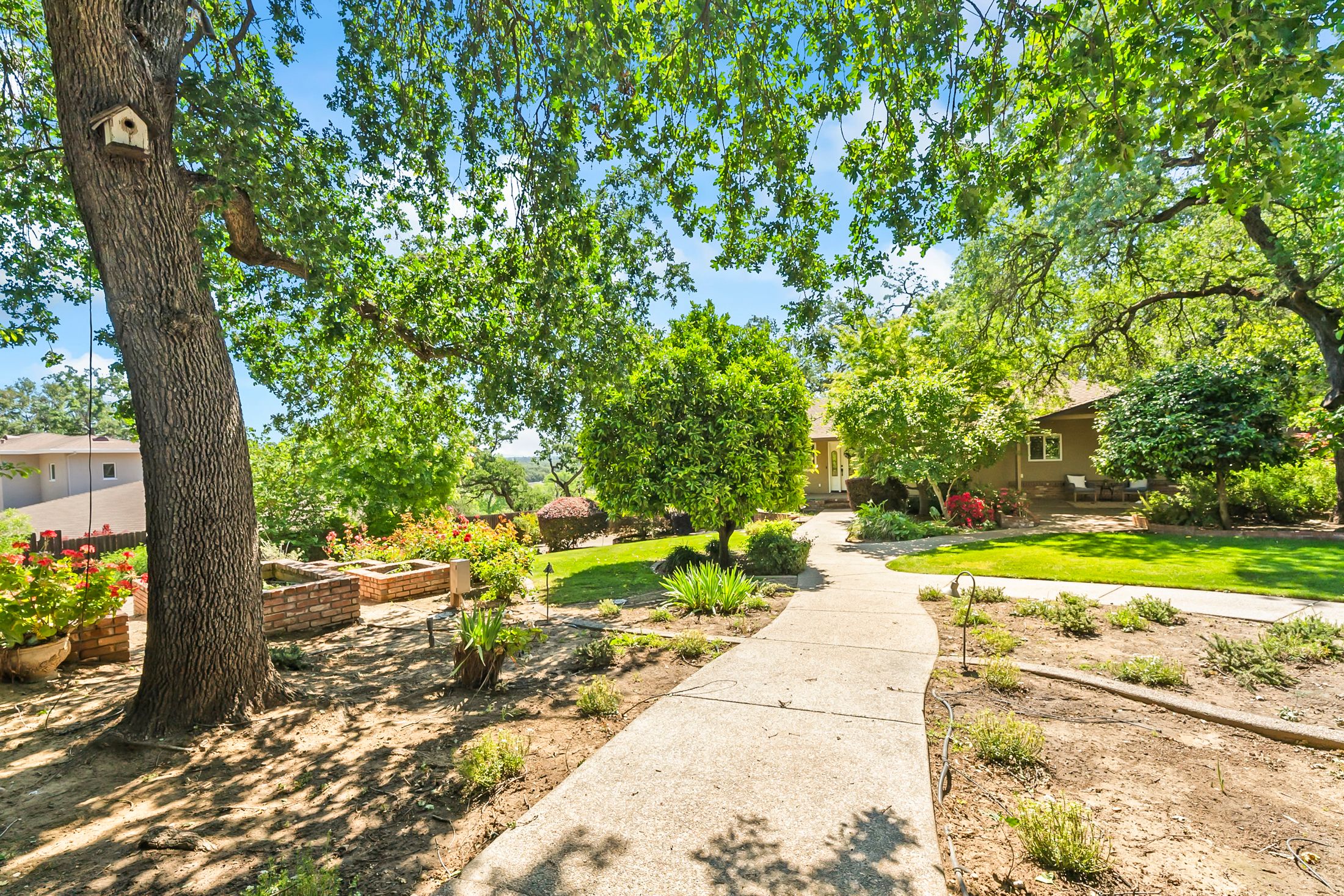  8218 Finisterre Court, Fair Oaks, CA 95628 - 物件實景