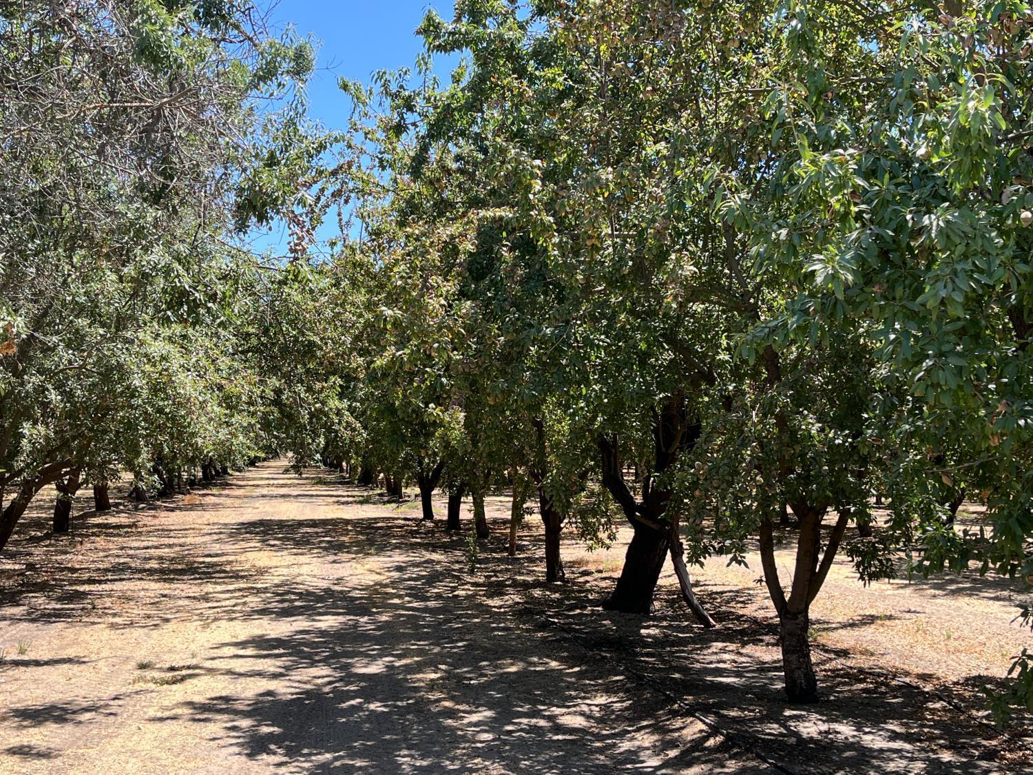 Livingston, California, 95334, United States, 3 Bedrooms Bedrooms, ,2 BathroomsBathrooms,Residential,For Sale,1975273