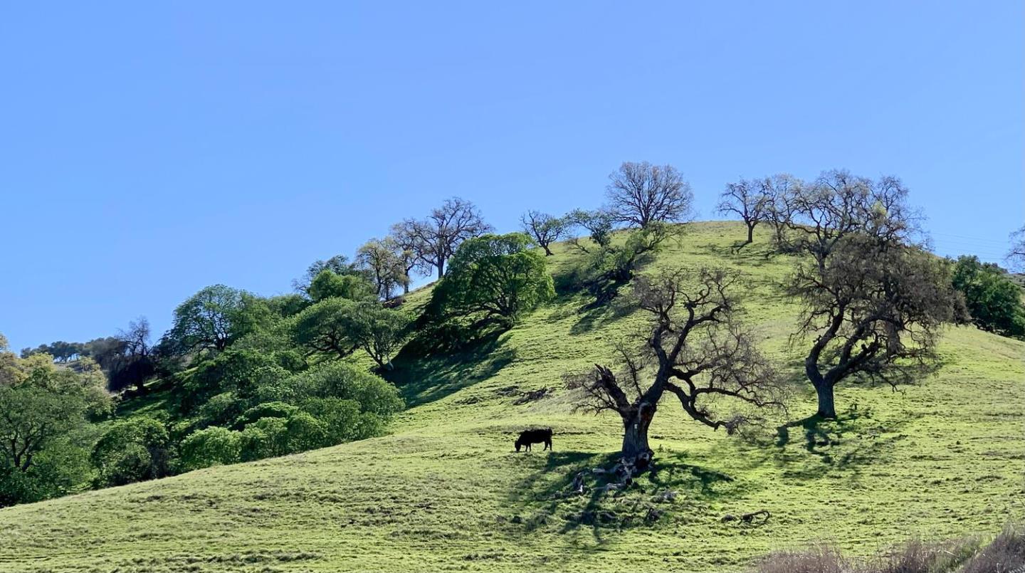 San Jose - Blossom Valley, California, 95123, United States, 4 Bedrooms Bedrooms, ,2 BathroomsBathrooms,Residential,For Sale,1732910