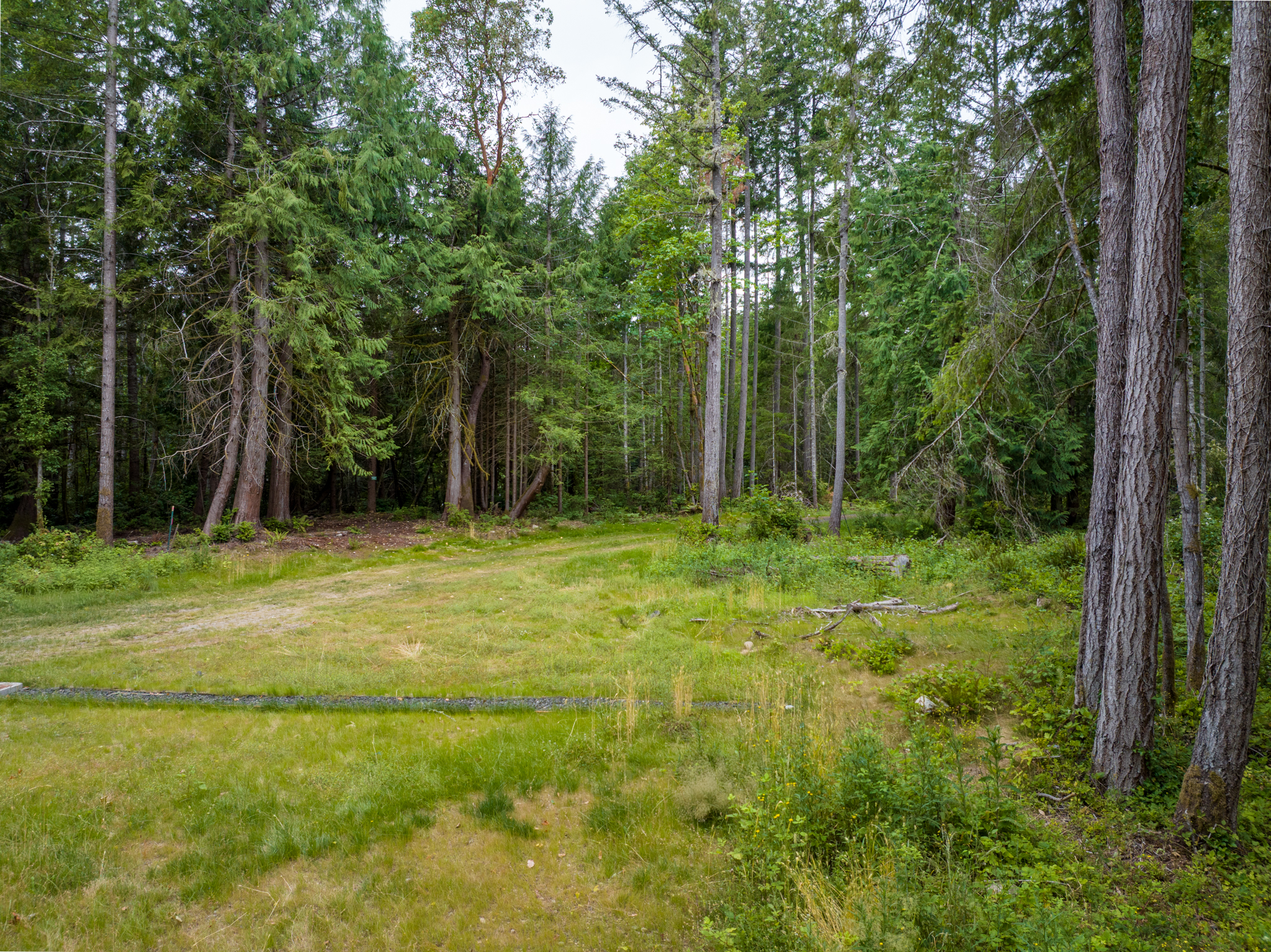 Lot A Bucsit Lane Northeast, Bainbridge Island, WA 98110 - 物件實景
