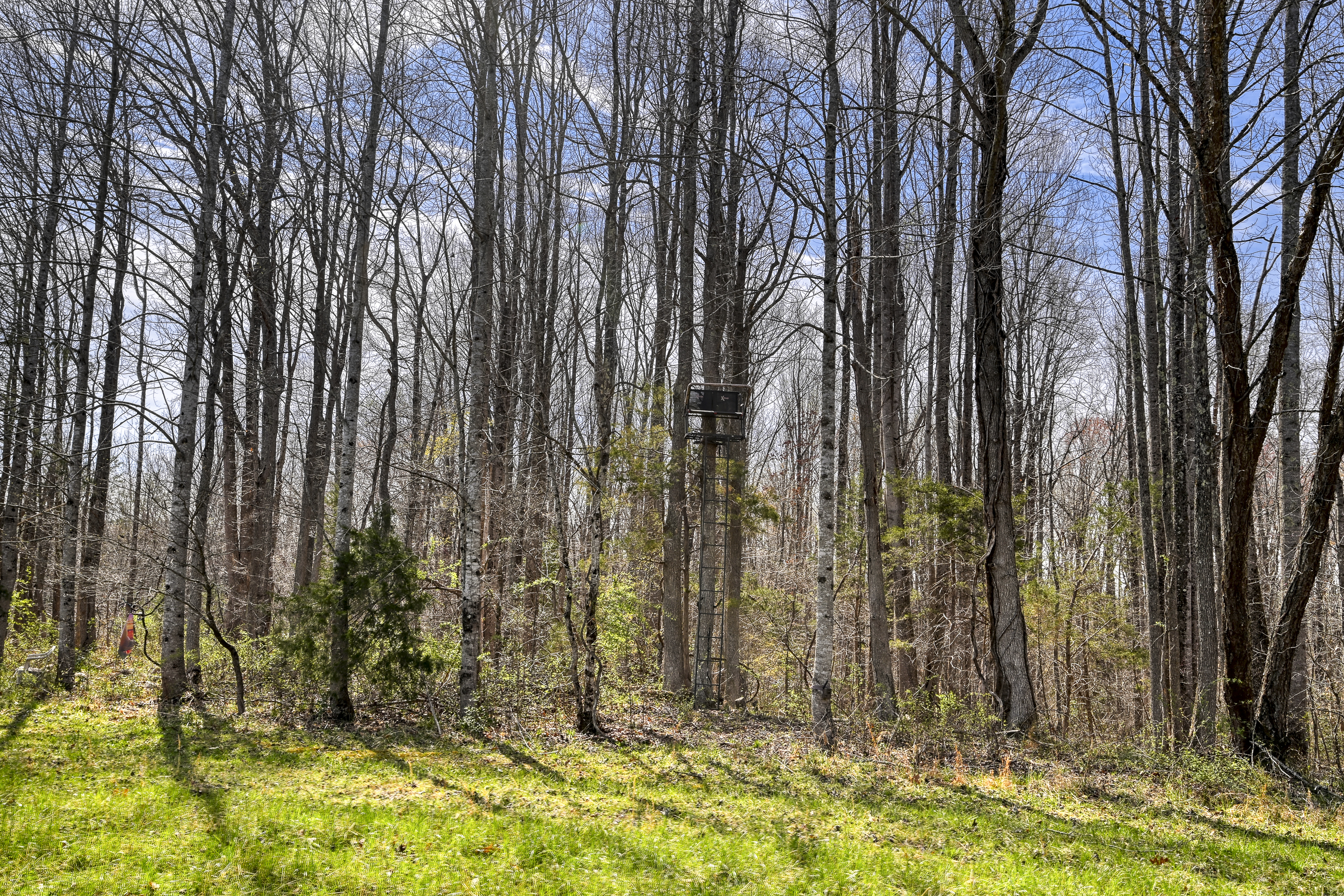  1399 Apple Grove Road, Mineral, VA 23117 - 物件實景