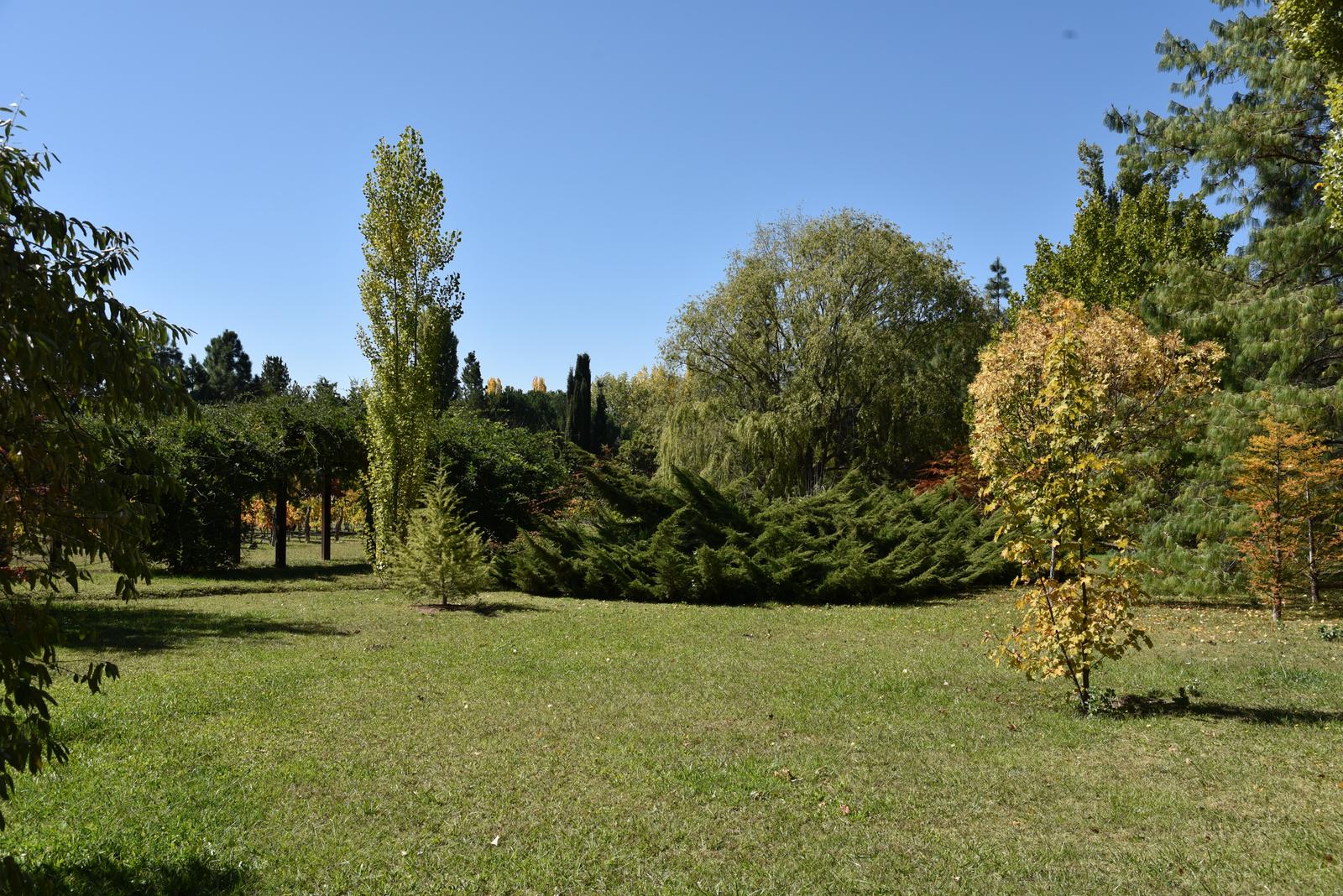 Lujan De Cuyo, AR-M, AR, 5 Bedrooms Bedrooms, ,8 BathroomsBathrooms,Residential,For Sale,1999071