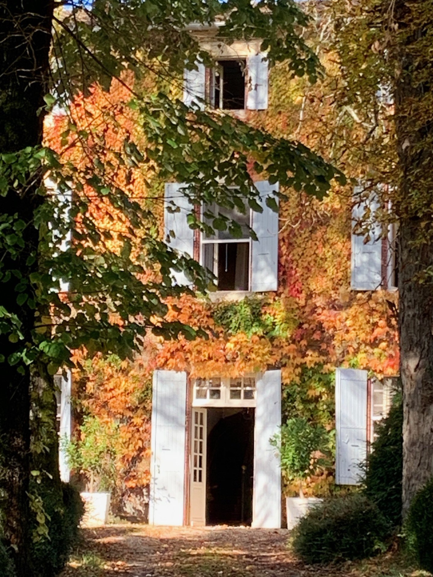  19th century manor house with over 500 m² of living space - 物件實景