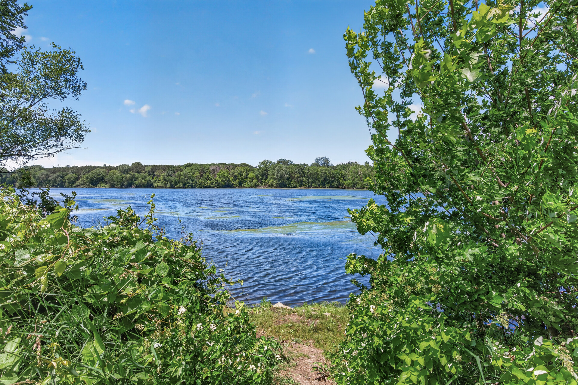  Luxury Lakeside Retreat in the Heart of Woodbury - 物件實景