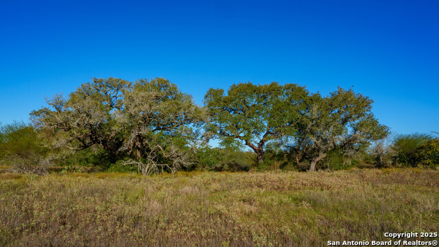 Yoakum, Texas, 77995, United States, ,Land,For Sale,1988104