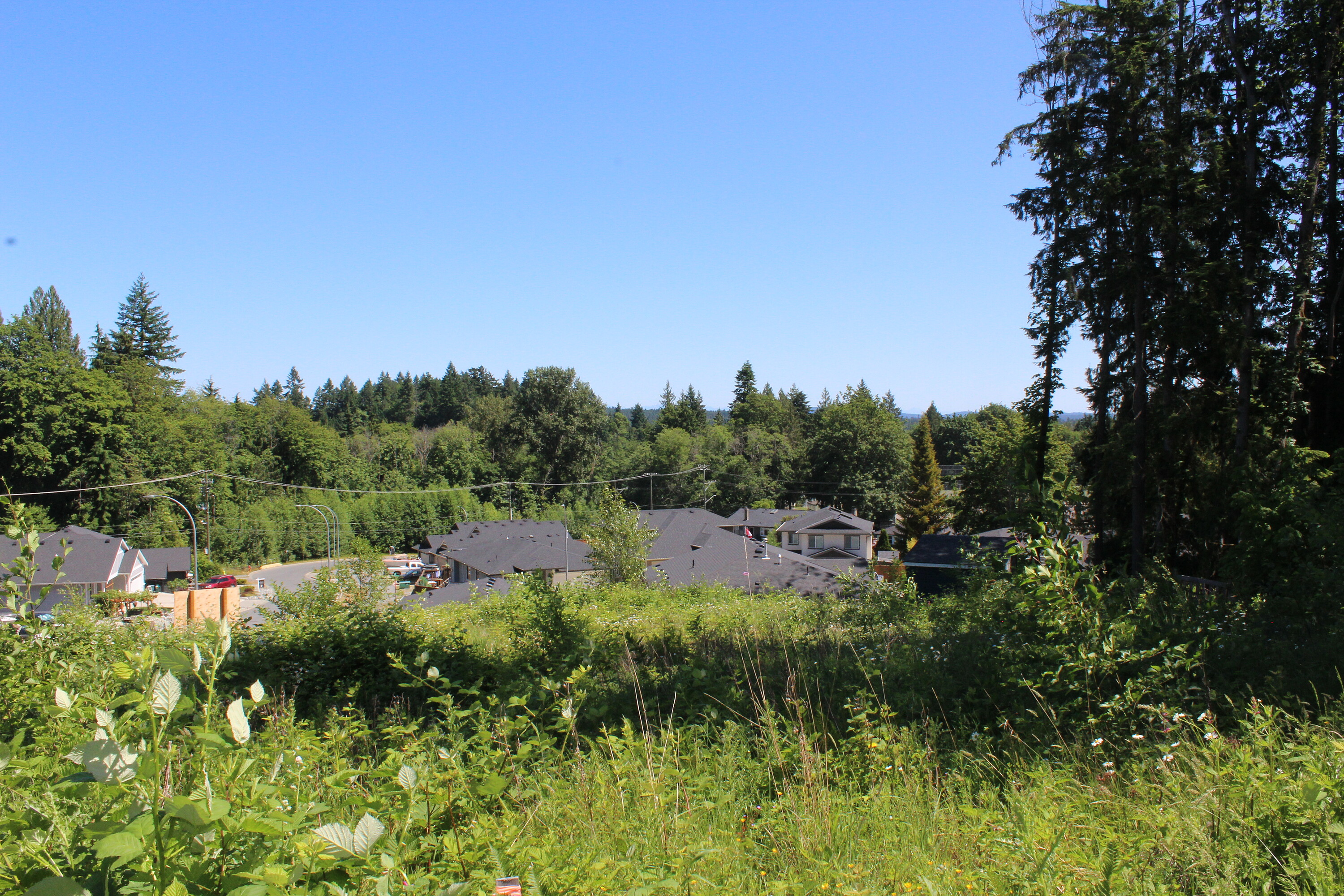  Development Lot in Ladysmith - 物件實景