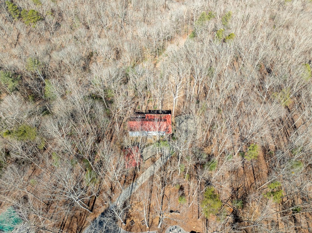 Ellijay, Georgia, 30540, United States, 4 Bedrooms Bedrooms, ,4 BathroomsBathrooms,Residential,For Sale,1858933