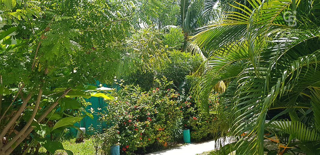 CALLE ALTAMIRANO ENTRE CALLE 10 Y 10 B, Campeche, Campeche, 24010, Mexico, 6 Bedrooms Bedrooms, ,7 BathroomsBathrooms,Residential,For Sale,CALLE ALTAMIRANO ENTRE CALLE 10 Y 10 B,1443397