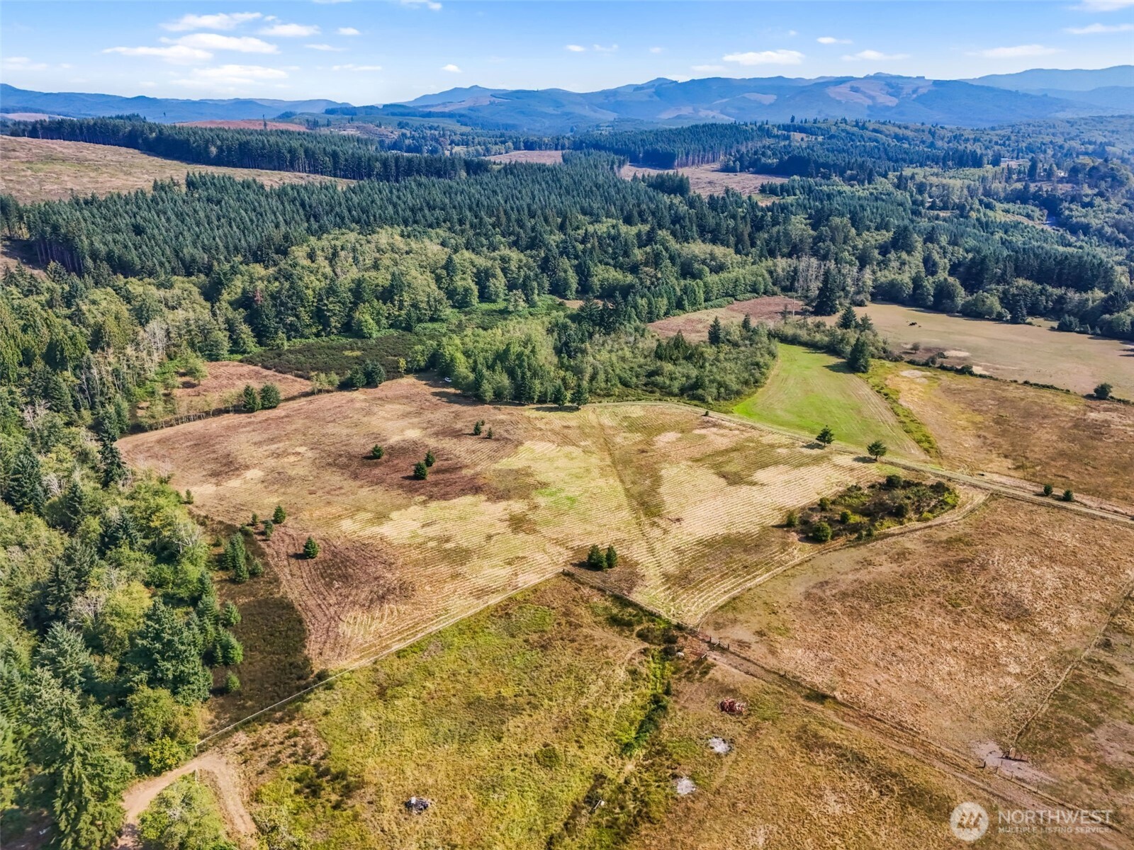 Onalaska, Washington, 98570, United States, ,Land,For Sale,1994245