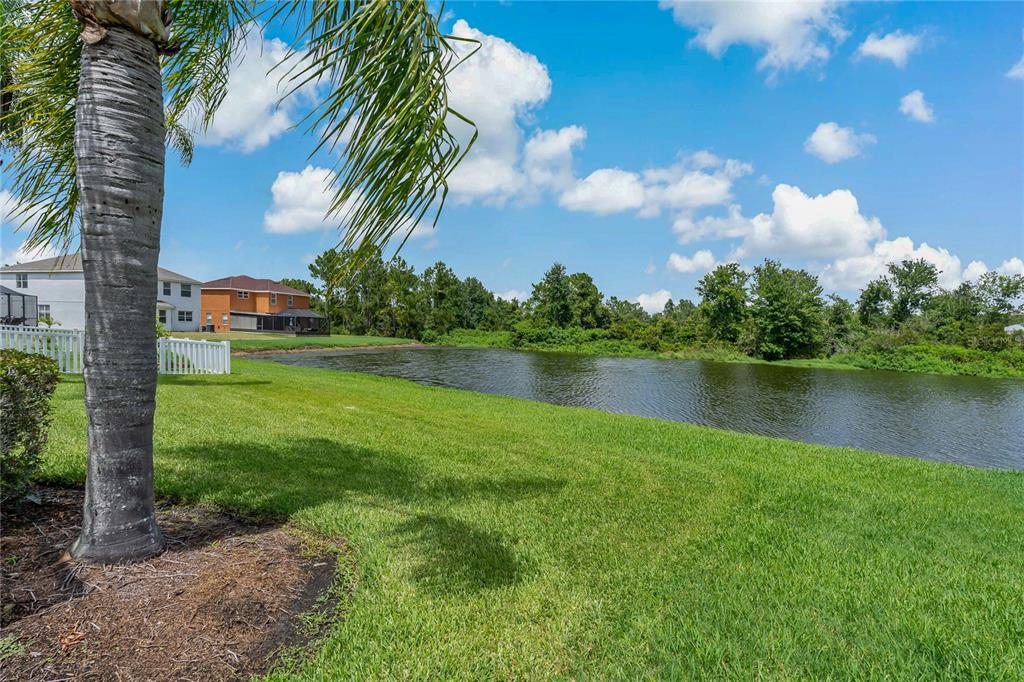 Tampa, Florida, 33647, United States, 4 Bedrooms Bedrooms, ,3 BathroomsBathrooms,Residential,For Sale,1906632