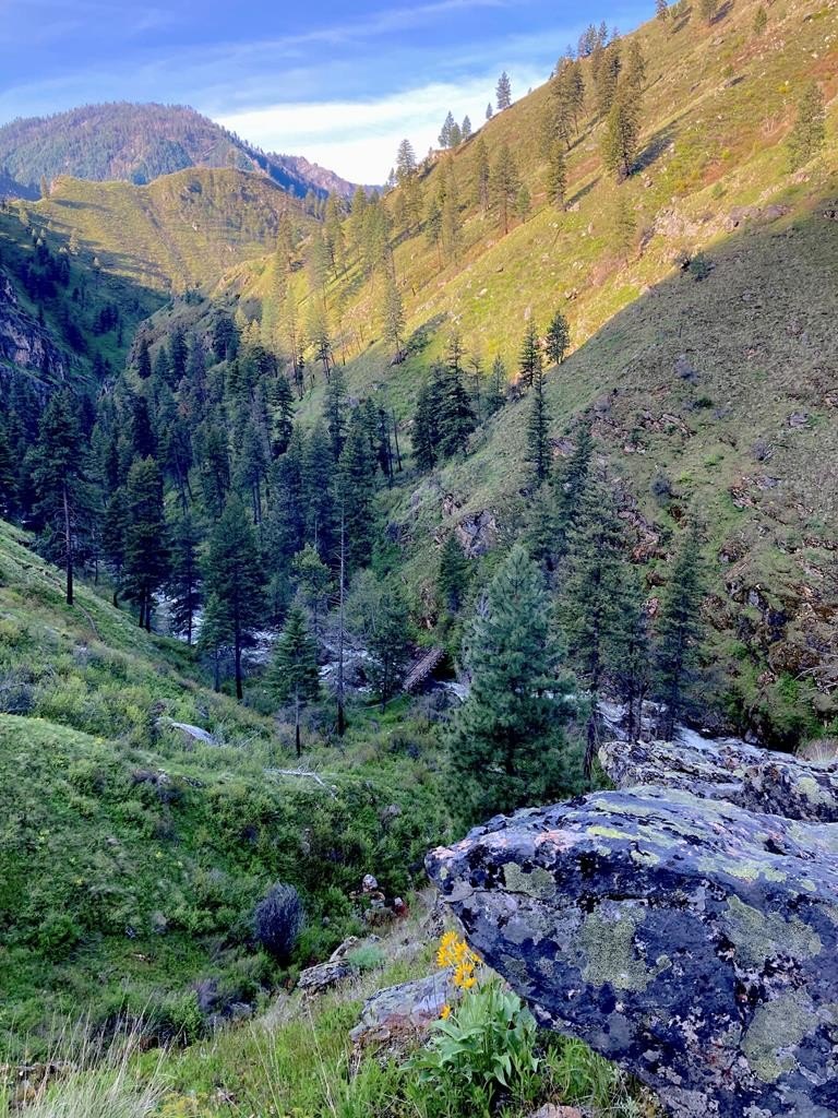 Riggins, Idaho, 83549, United States, 1 Bedroom Bedrooms, ,Residential,For Sale,1762926
