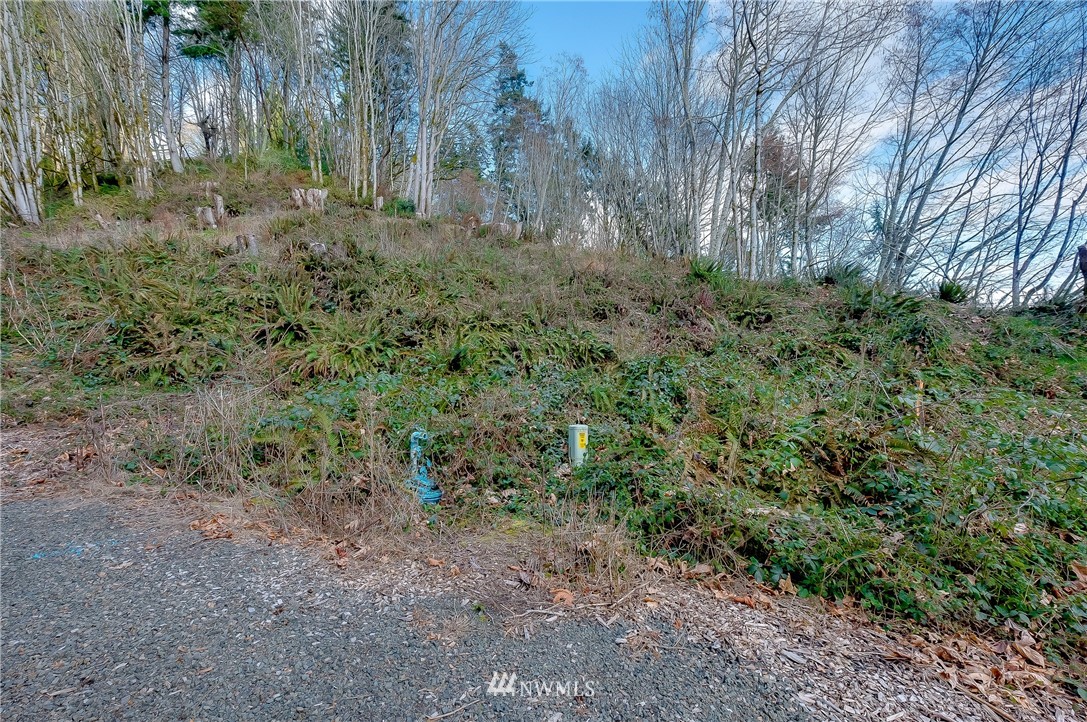 8755 Landing Lane SE, Port Orchard, Washington, 98367, United States, ,Land,For Sale,8755 Landing Lane SE,1662069