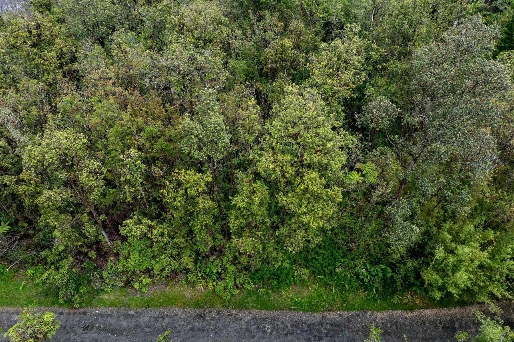  11-1766 Pilo St, Mountain View, HI, 96771 - 物件實景