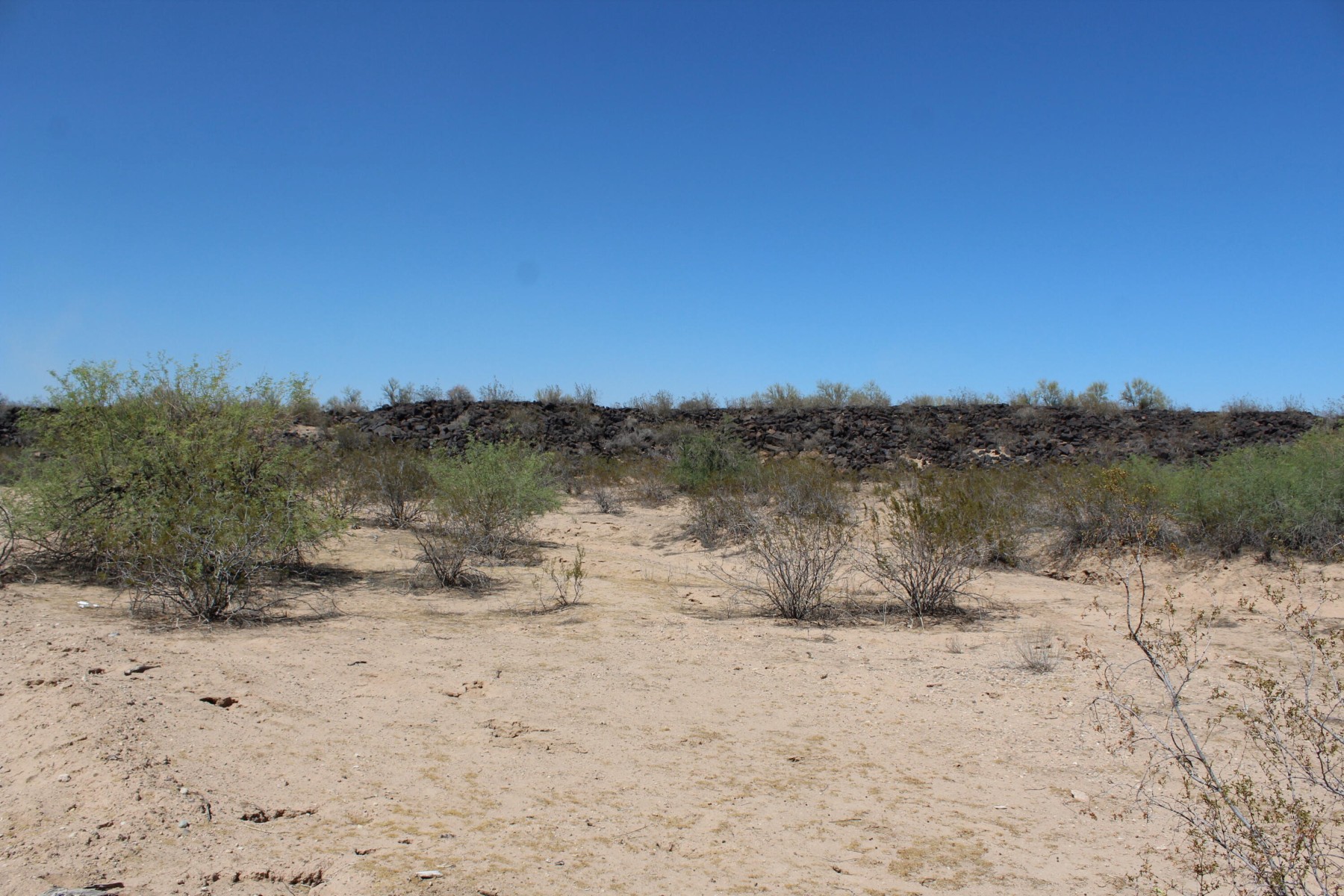  11 S 337th Avenue, Arlington, AZ, 85322 - 物件實景