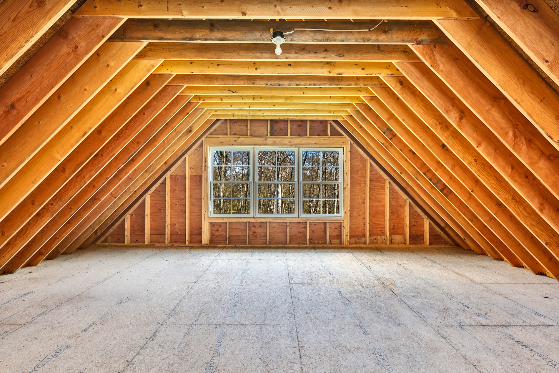  Forrest Lane - 物件實景