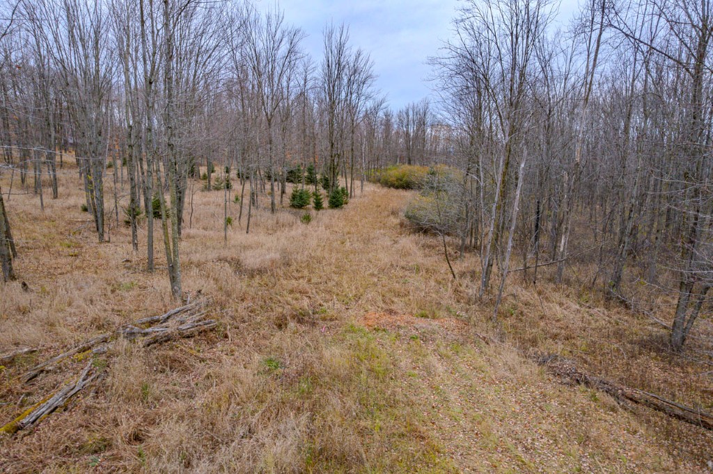 Wausau, Wisconsin, 54401, United States, ,Residential,For Sale,2001990