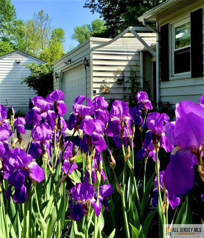 Piscataway, New Jersey, 08854, United States, 3 Bedrooms Bedrooms, ,2 BathroomsBathrooms,Residential,For Sale,1940160