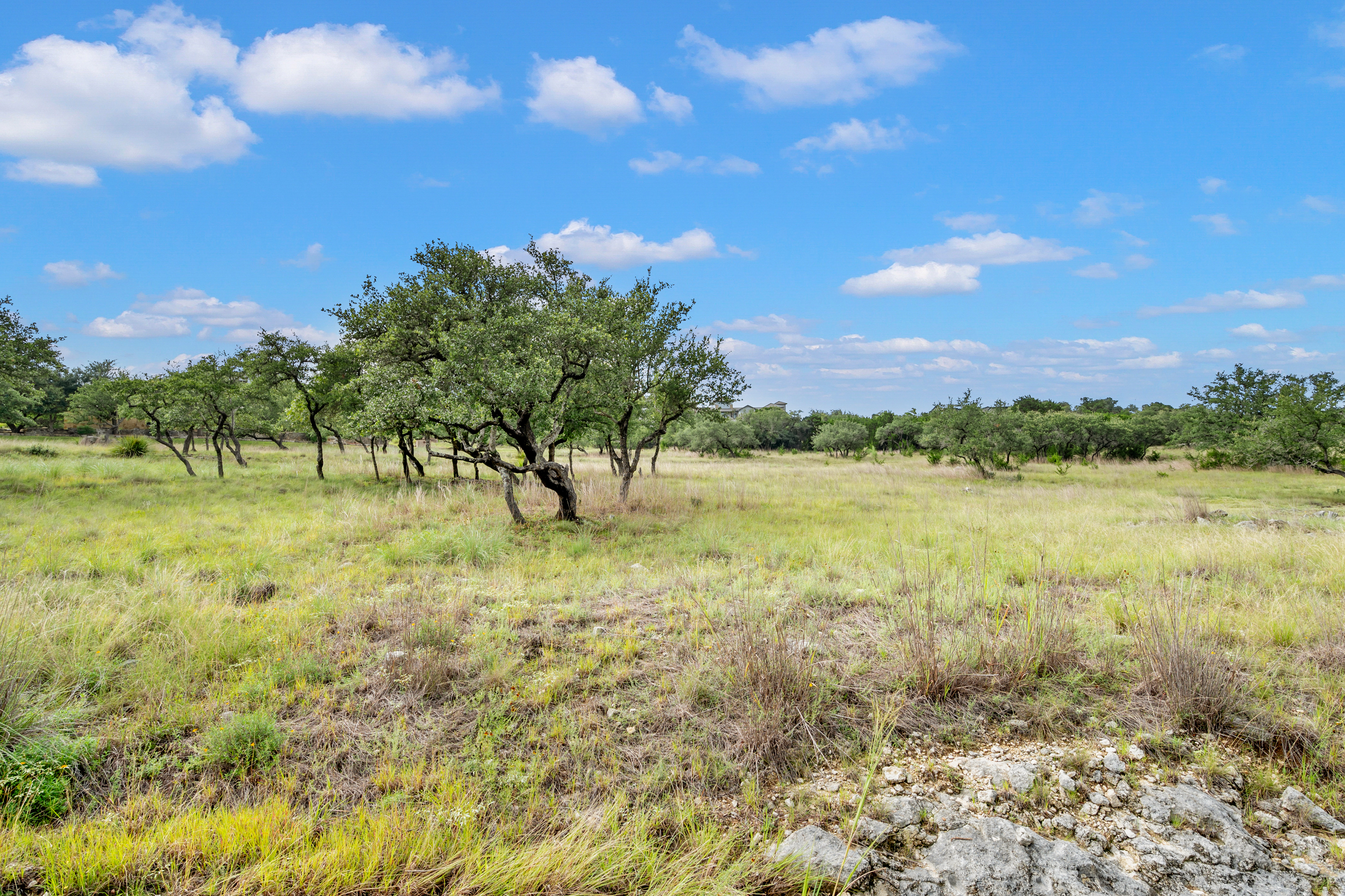  Premier Coveney Ranch Homesite - 物件實景