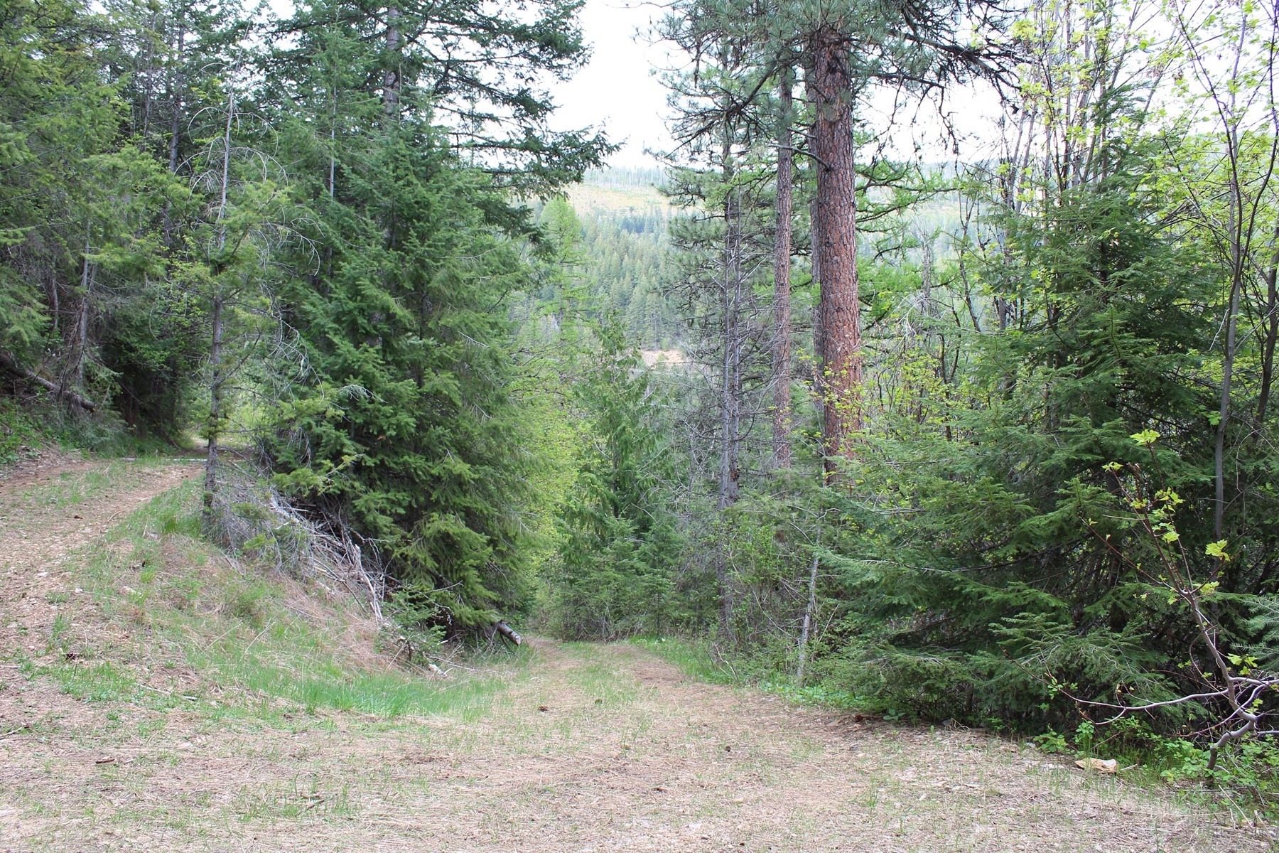  19a Daisy Gulch Road - 物件實景