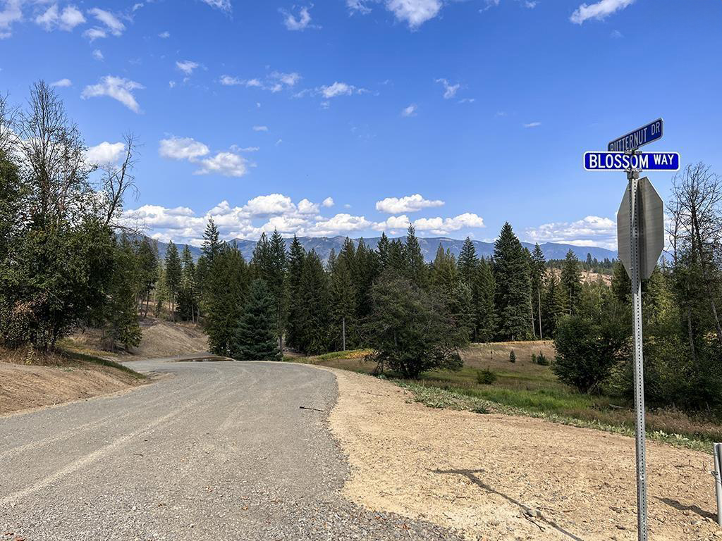 Sagle, Idaho, 83860, United States, ,Land,For Sale,1983081