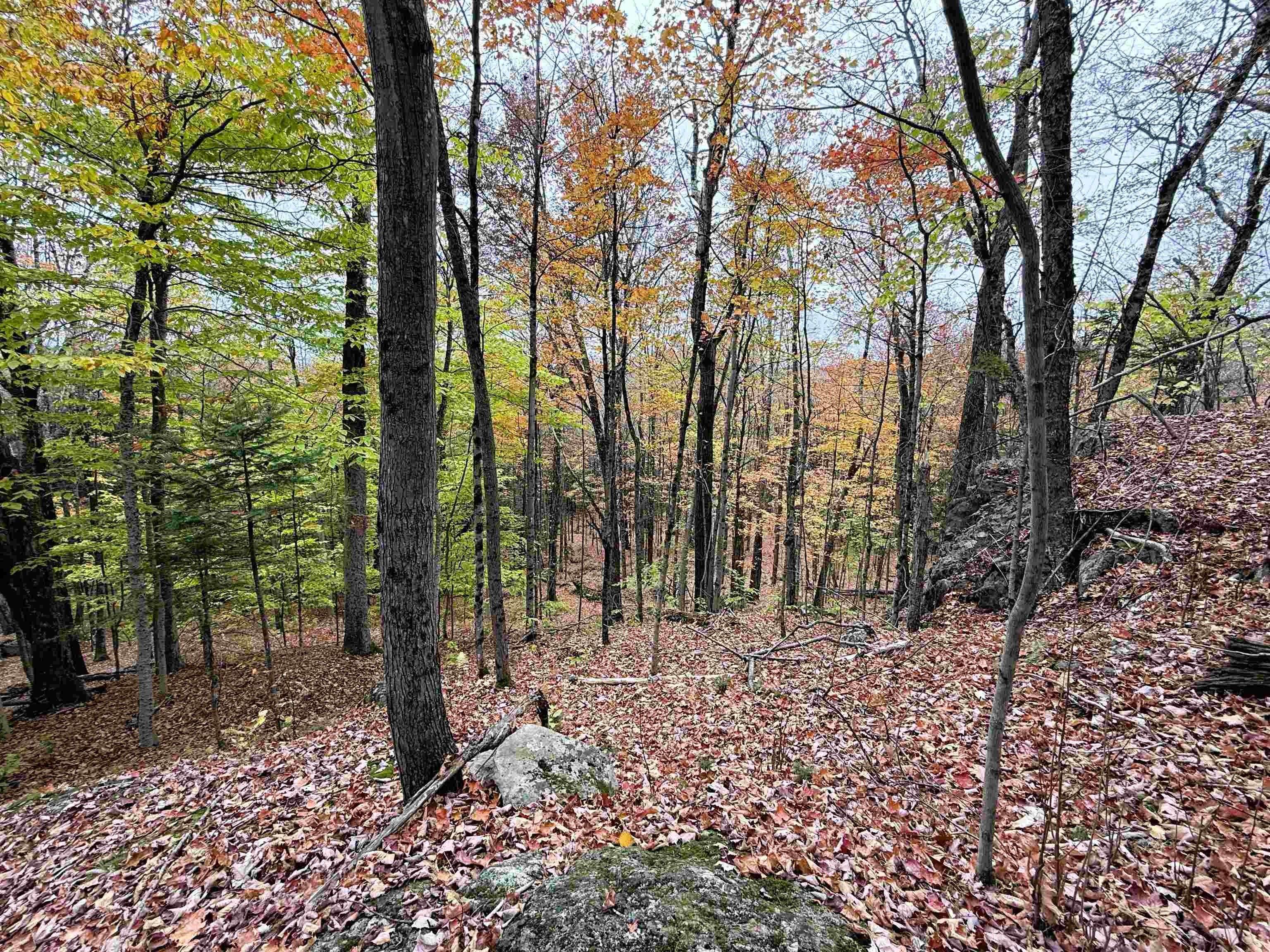 Newport Town, Vermont, 05857, United States, 3 Bedrooms Bedrooms, ,3 BathroomsBathrooms,Residential,For Sale,1980373