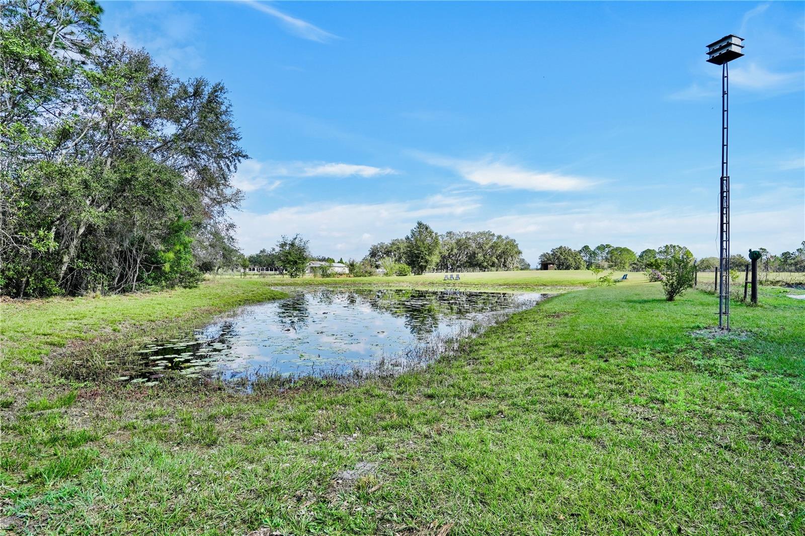 GROVELAND, Florida, 34736, United States, 5 Bedrooms Bedrooms, ,3 BathroomsBathrooms,Residential,For Sale,1707608