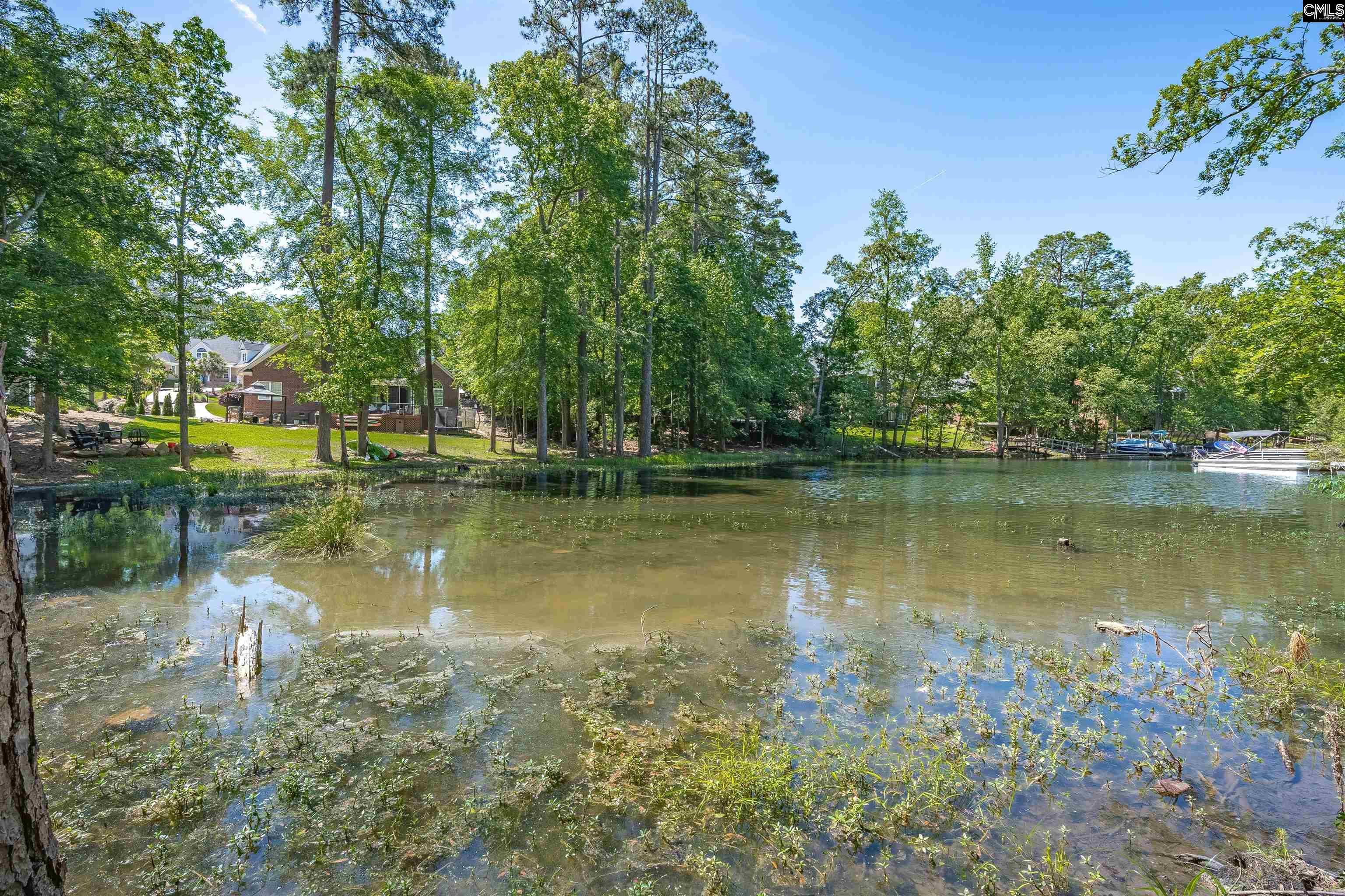 Chapin, South Carolina, 29036, United States, 3 Bedrooms Bedrooms, ,3 BathroomsBathrooms,Residential,For Sale,1804271